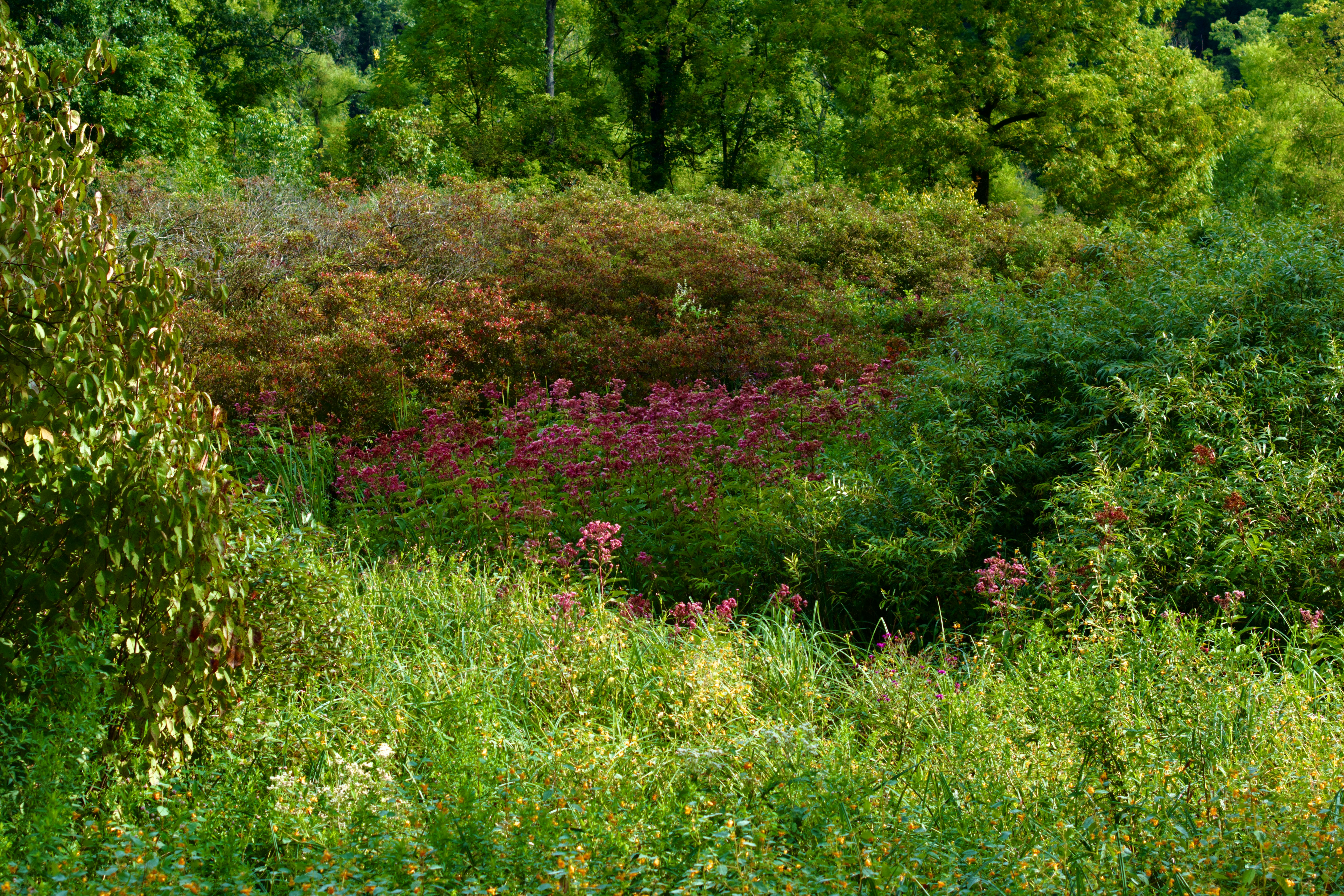 Photo by mike_loftus