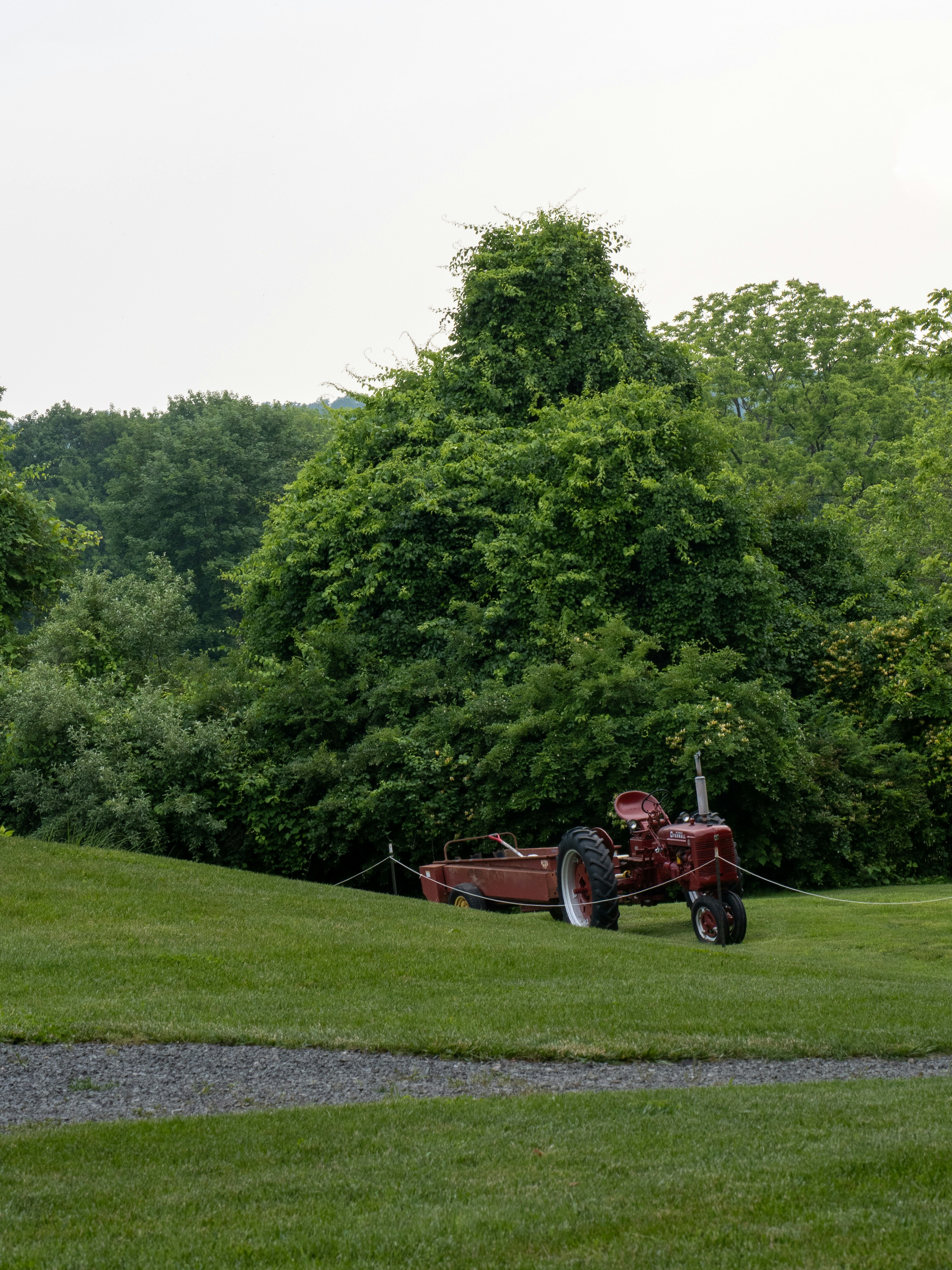 Tracteur rouge garé sur une colline herbeuse avec des arbres.
