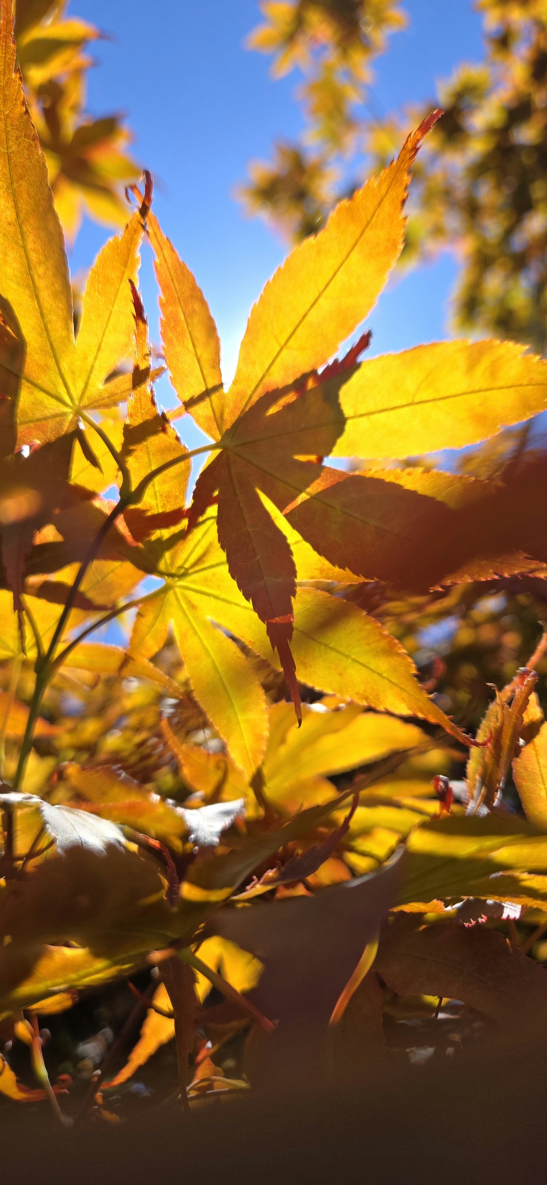 Photo by seaofthesaints