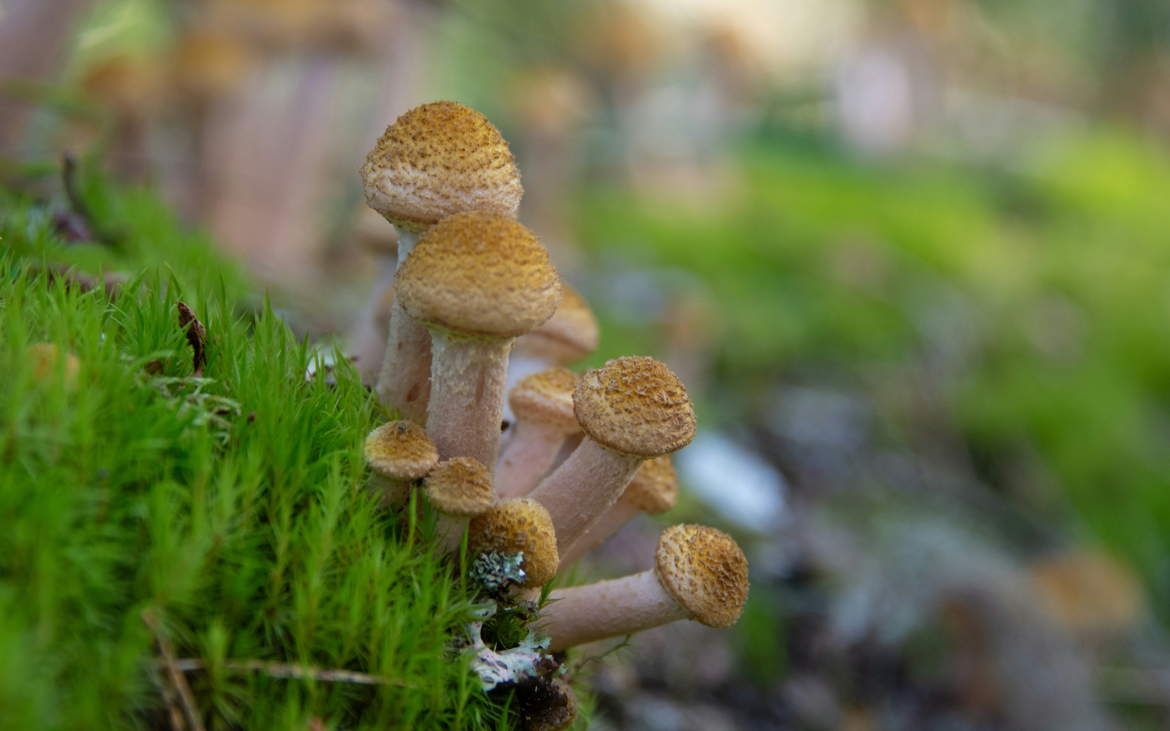 Photo by translytranslations