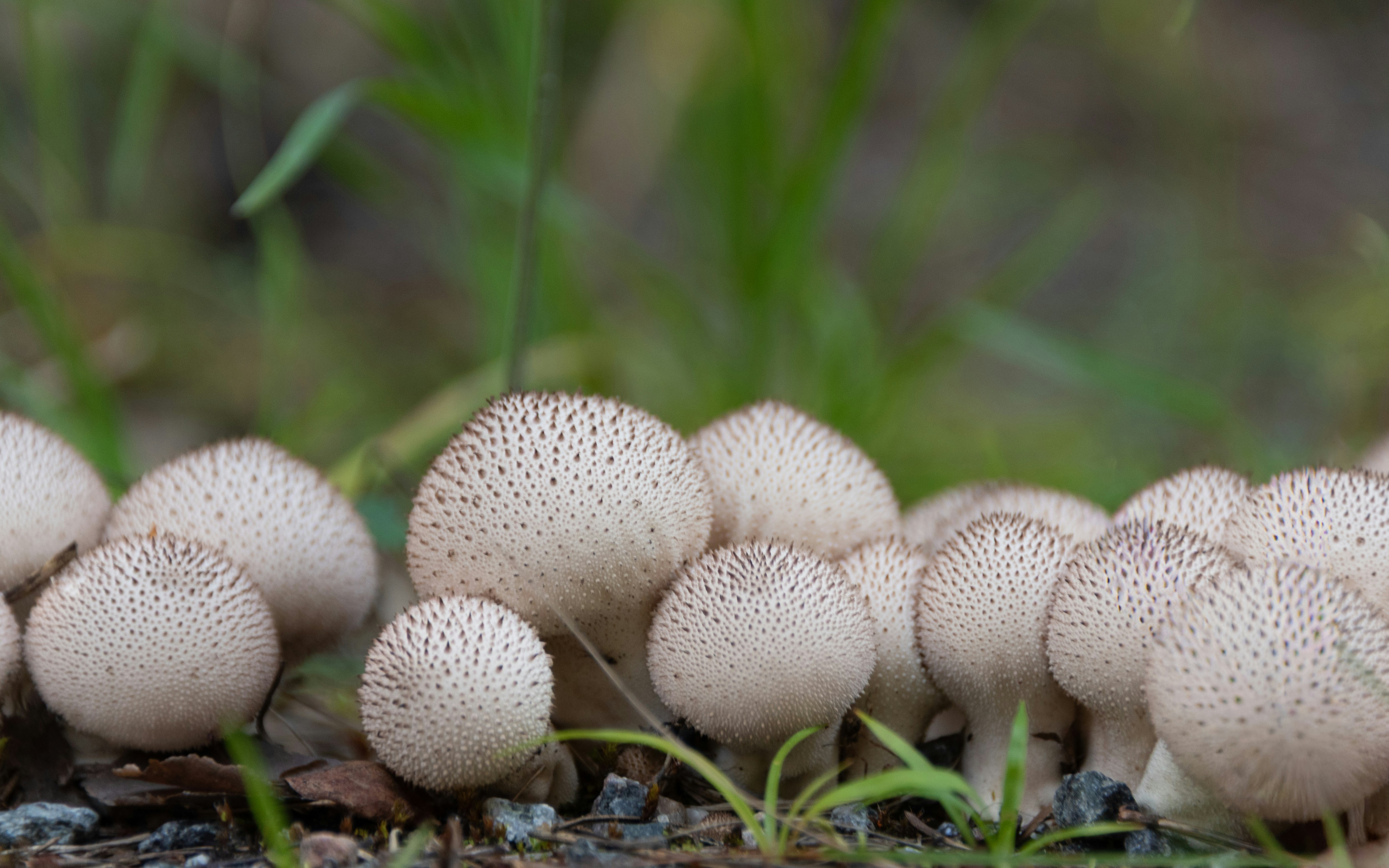 Photo by translytranslations