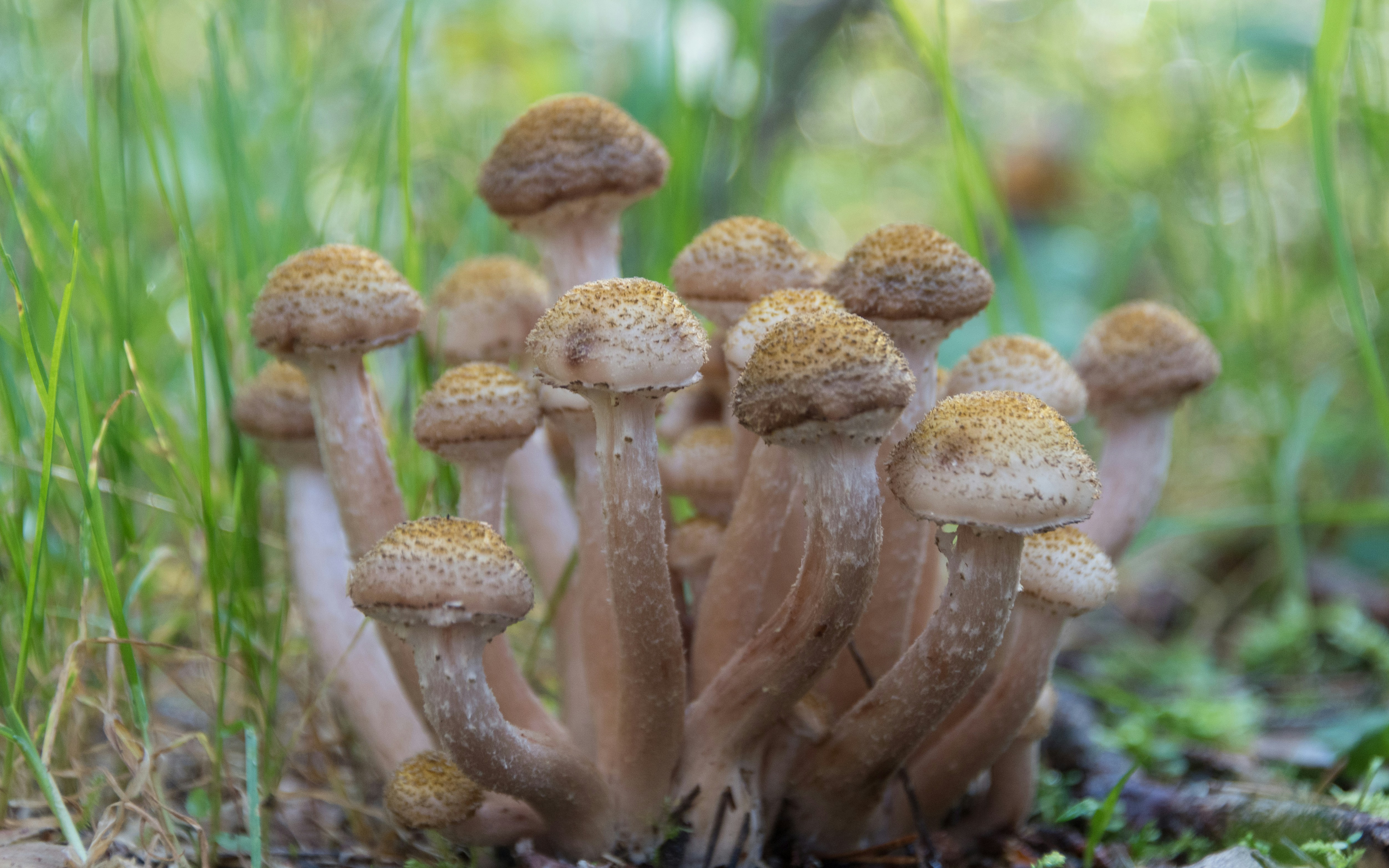 Photo by translytranslations