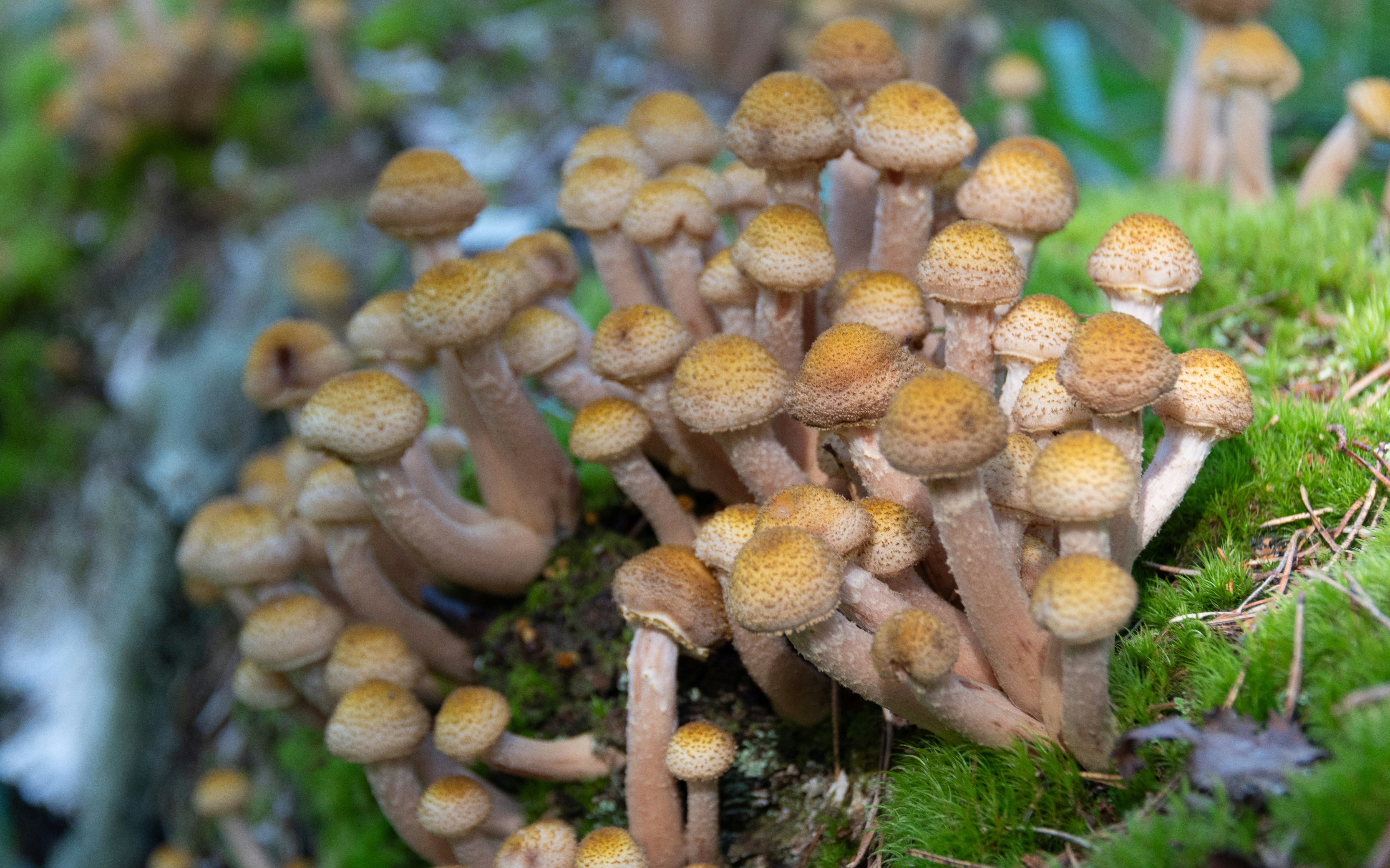 Photo by translytranslations