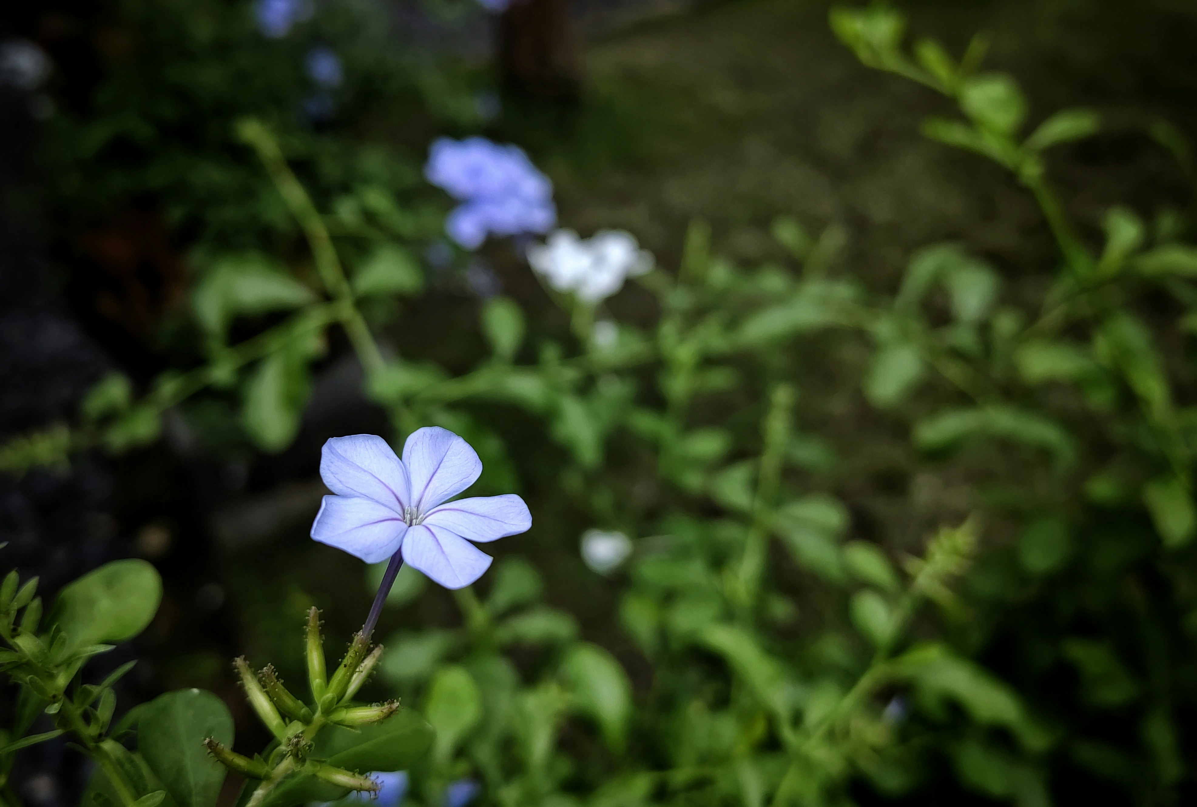 Photo by vitconmobile