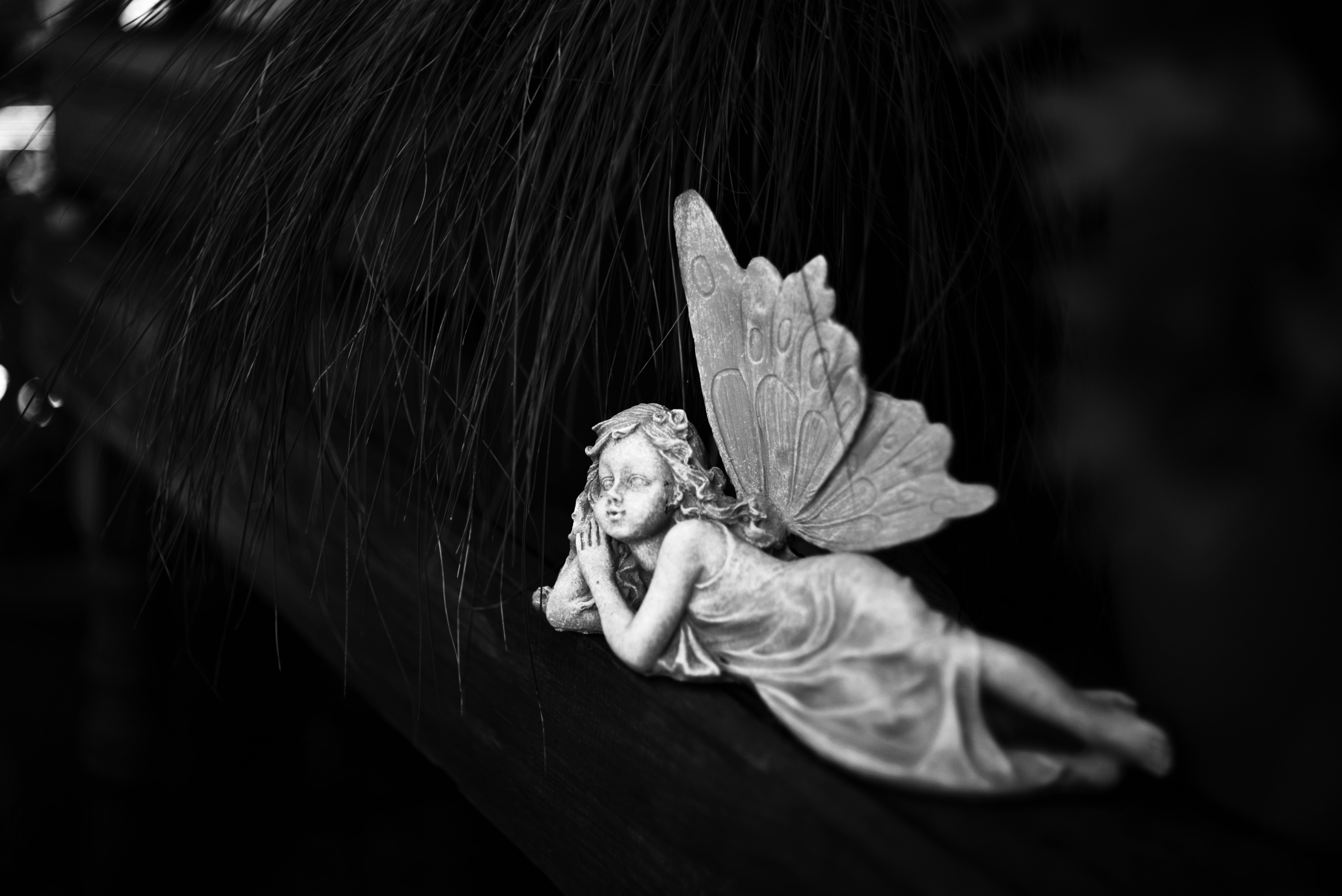 Photo by cherstve_pechivo