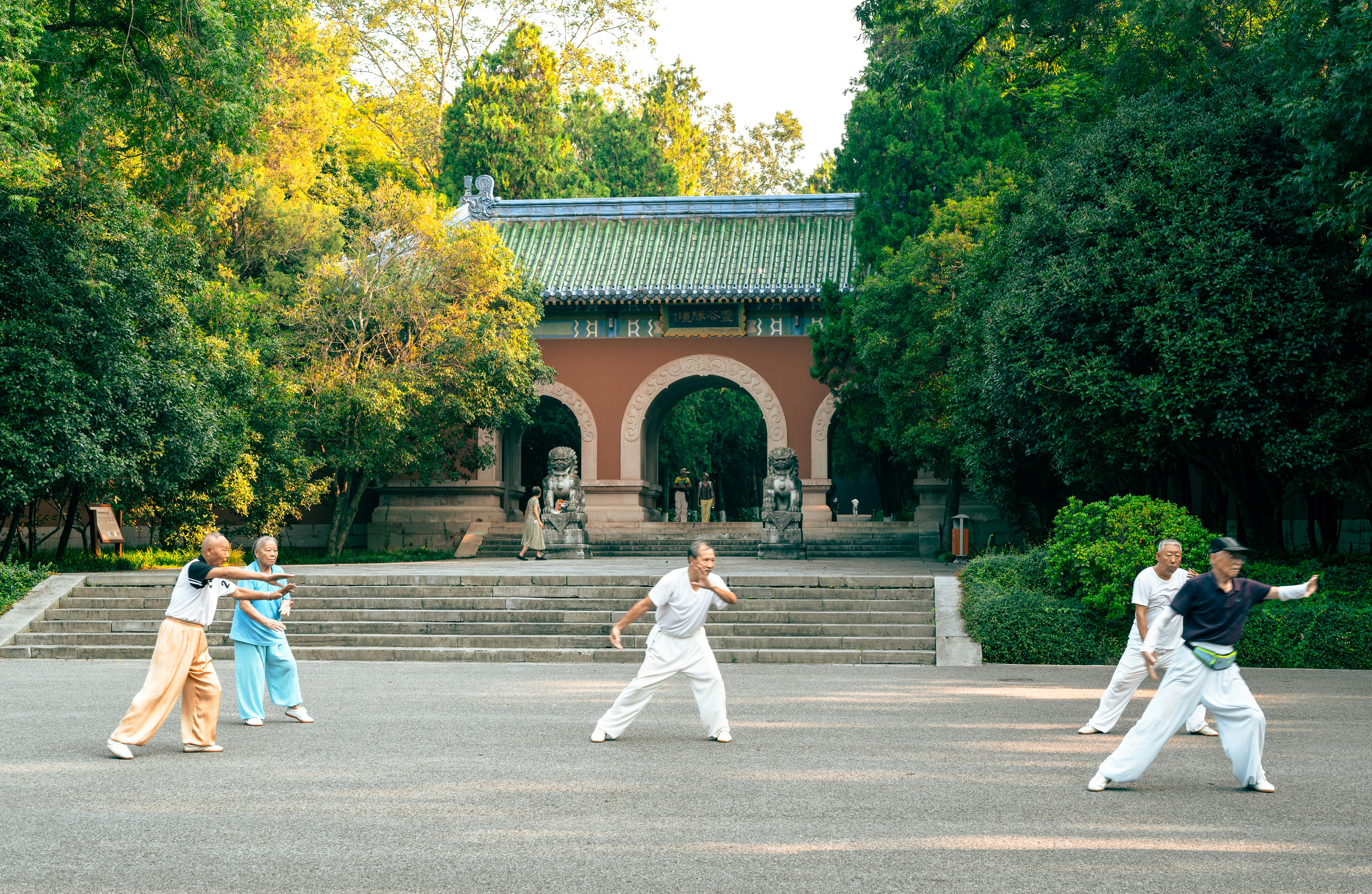 How to Choose the Right MMA Shin Guards: Fit, Protection, and Top Picks