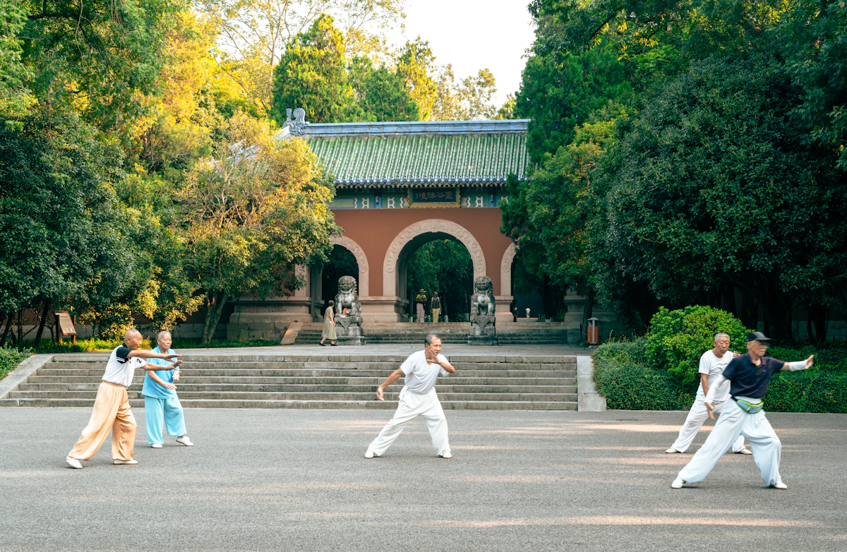 Tai Chi ve Qigong — Ankara Gençlik Parkı (Sabah Grubu, Her Yaşa Uygun) fotoğrafı