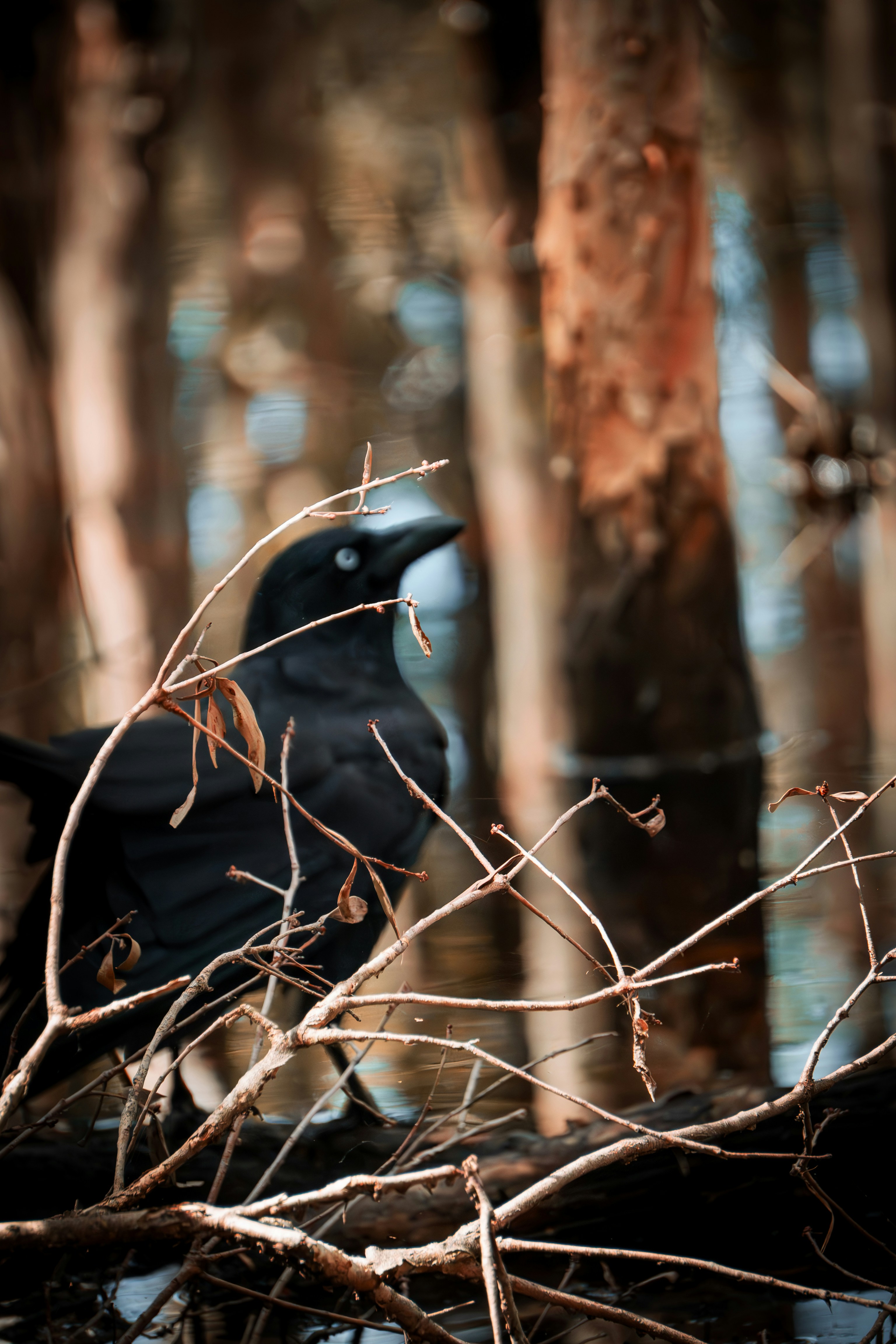 Photo by pira_productions