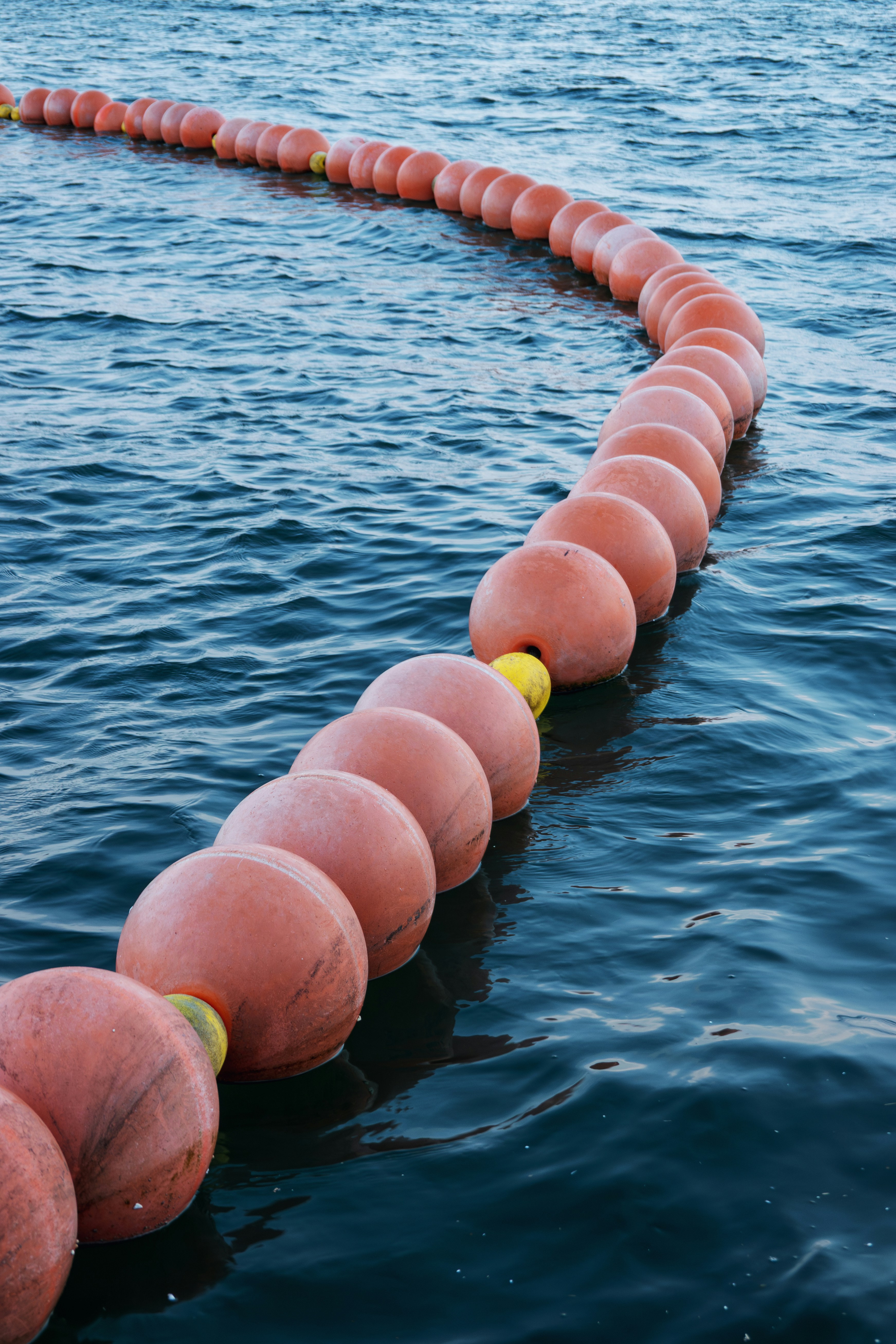 Another cable won’t lower NZ internet costs