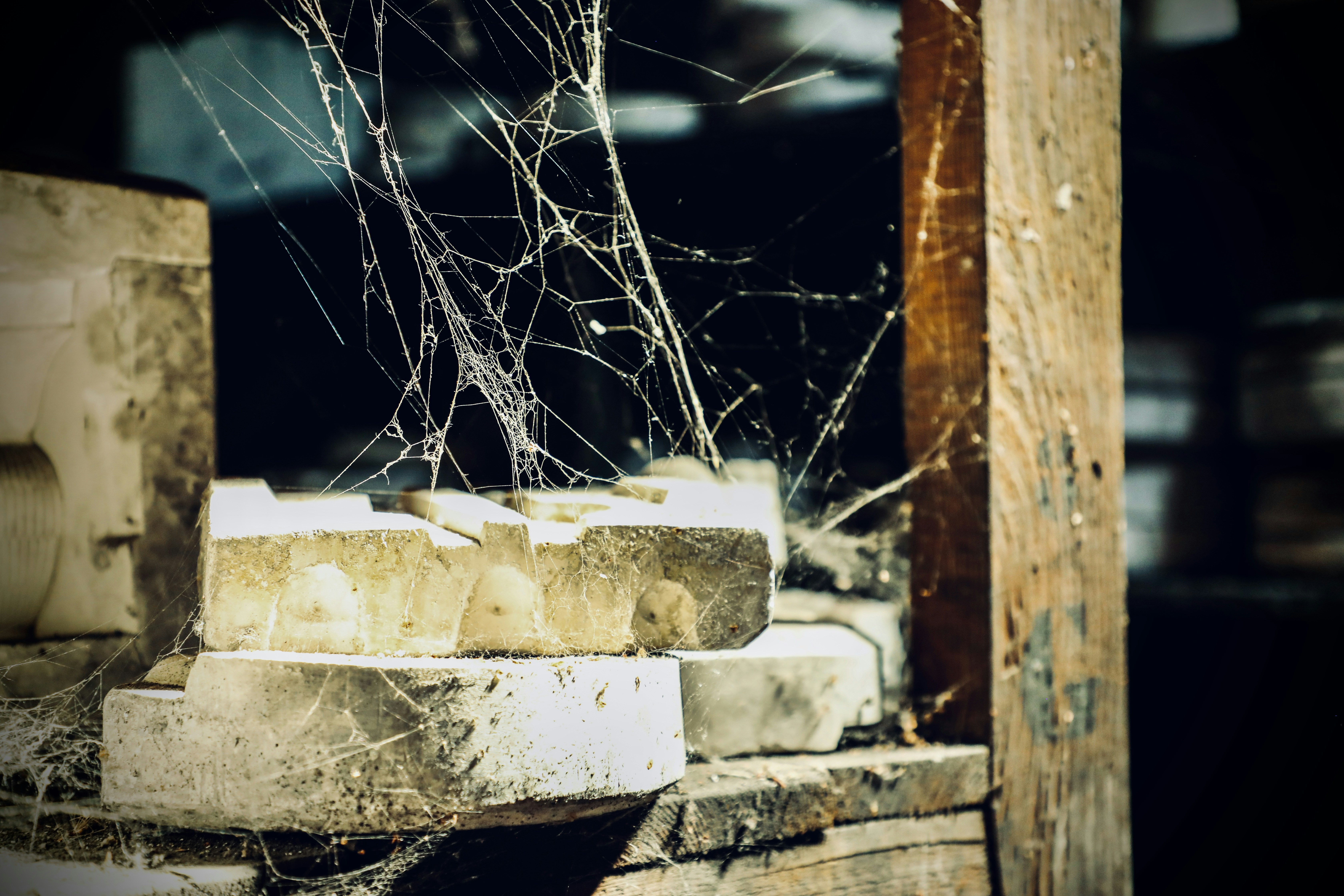 Cobwebs cover weathered bricks and wooden post.