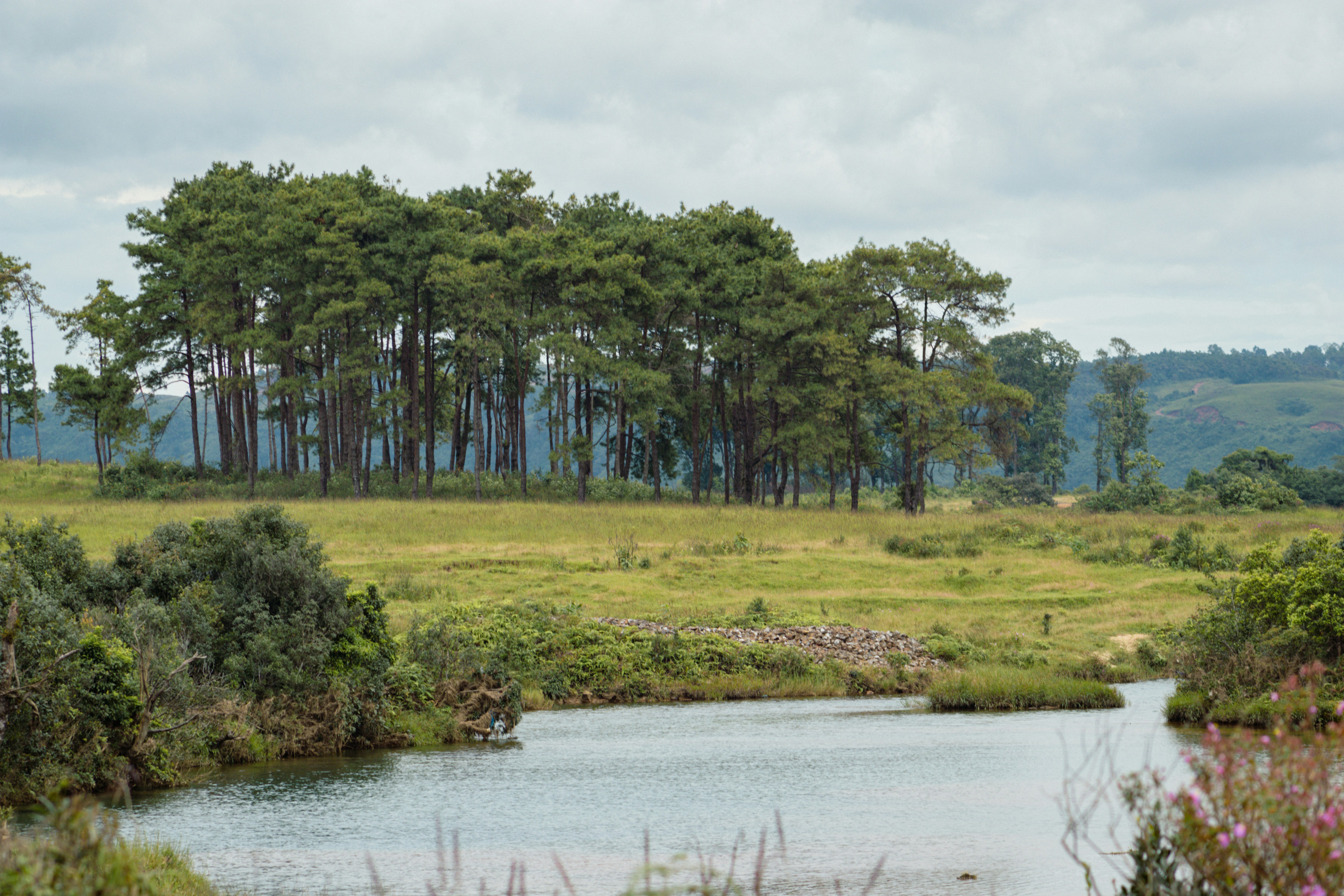 Photo by photoriksha