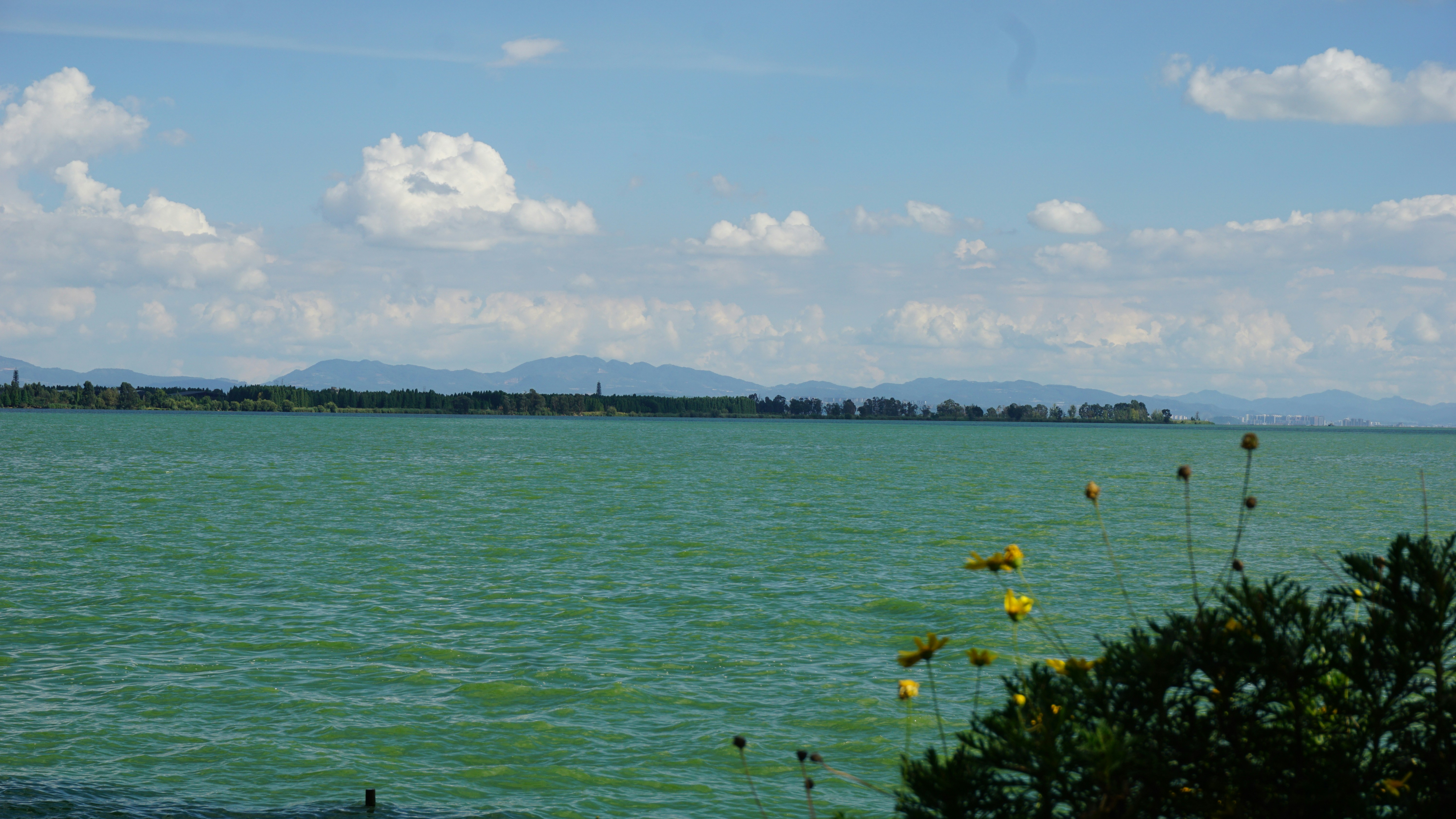 Passport services in Laguna Niguel