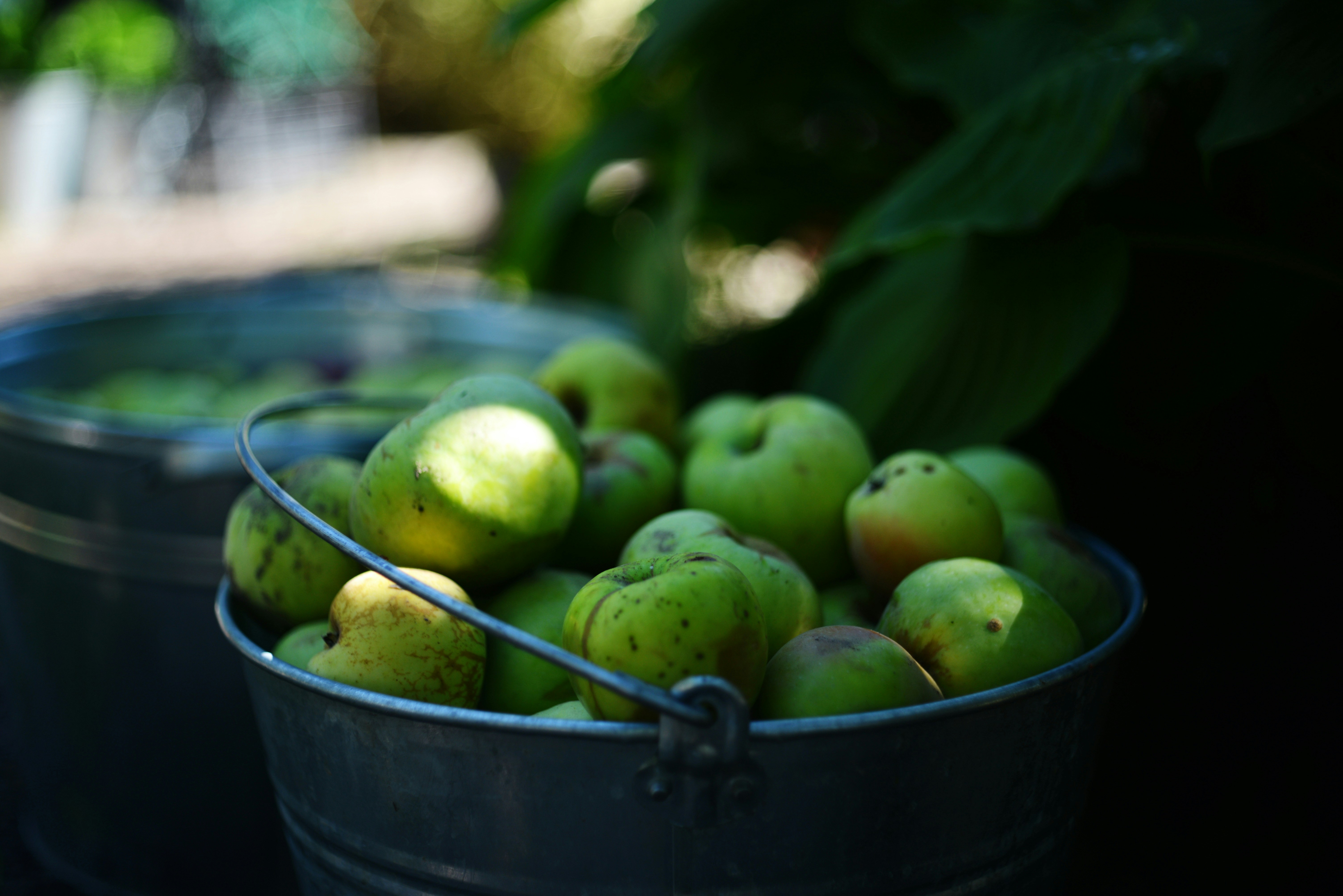 Photo by cherstve_pechivo