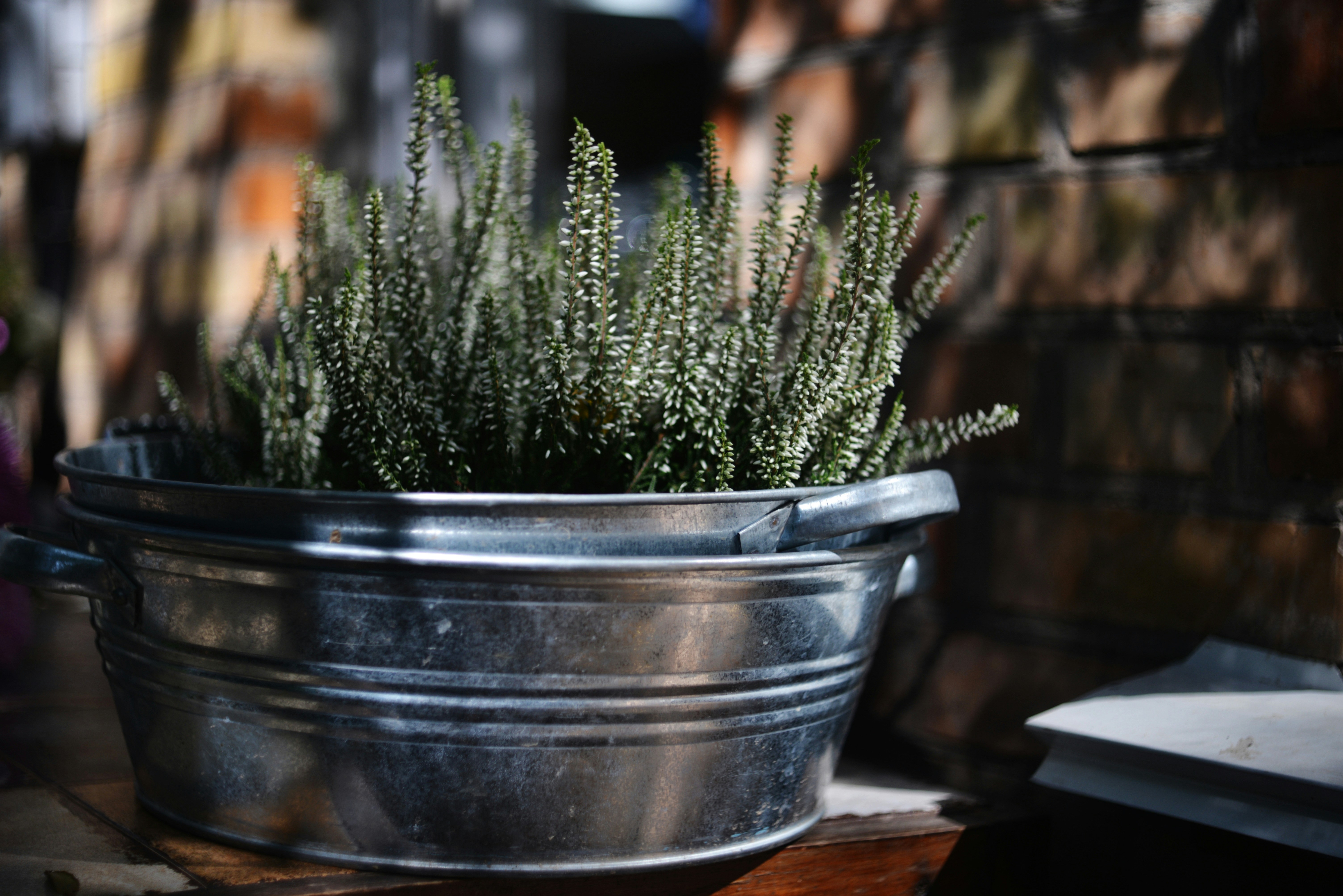 Photo by cherstve_pechivo