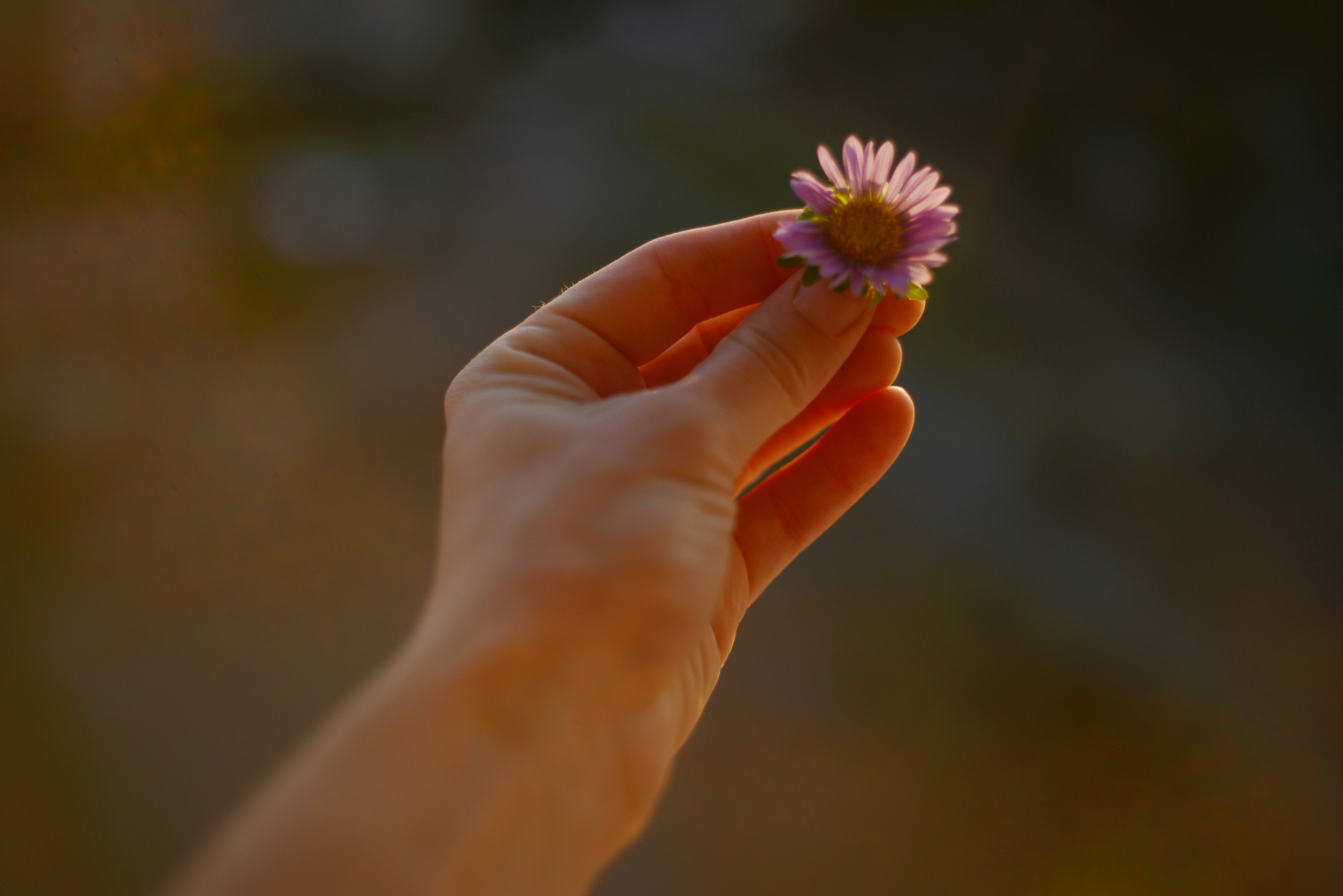 Photo by cherstve_pechivo