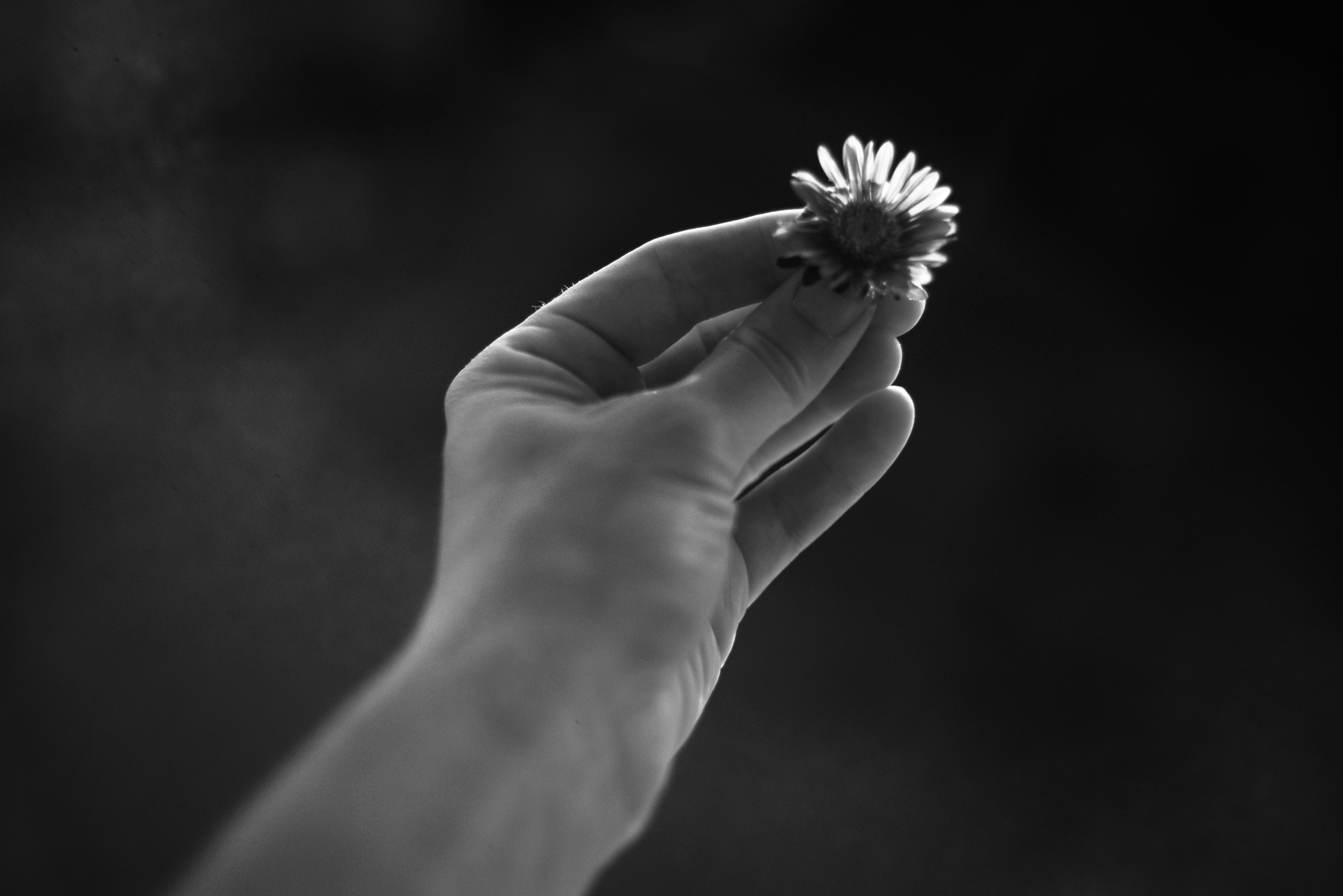 Photo by cherstve_pechivo