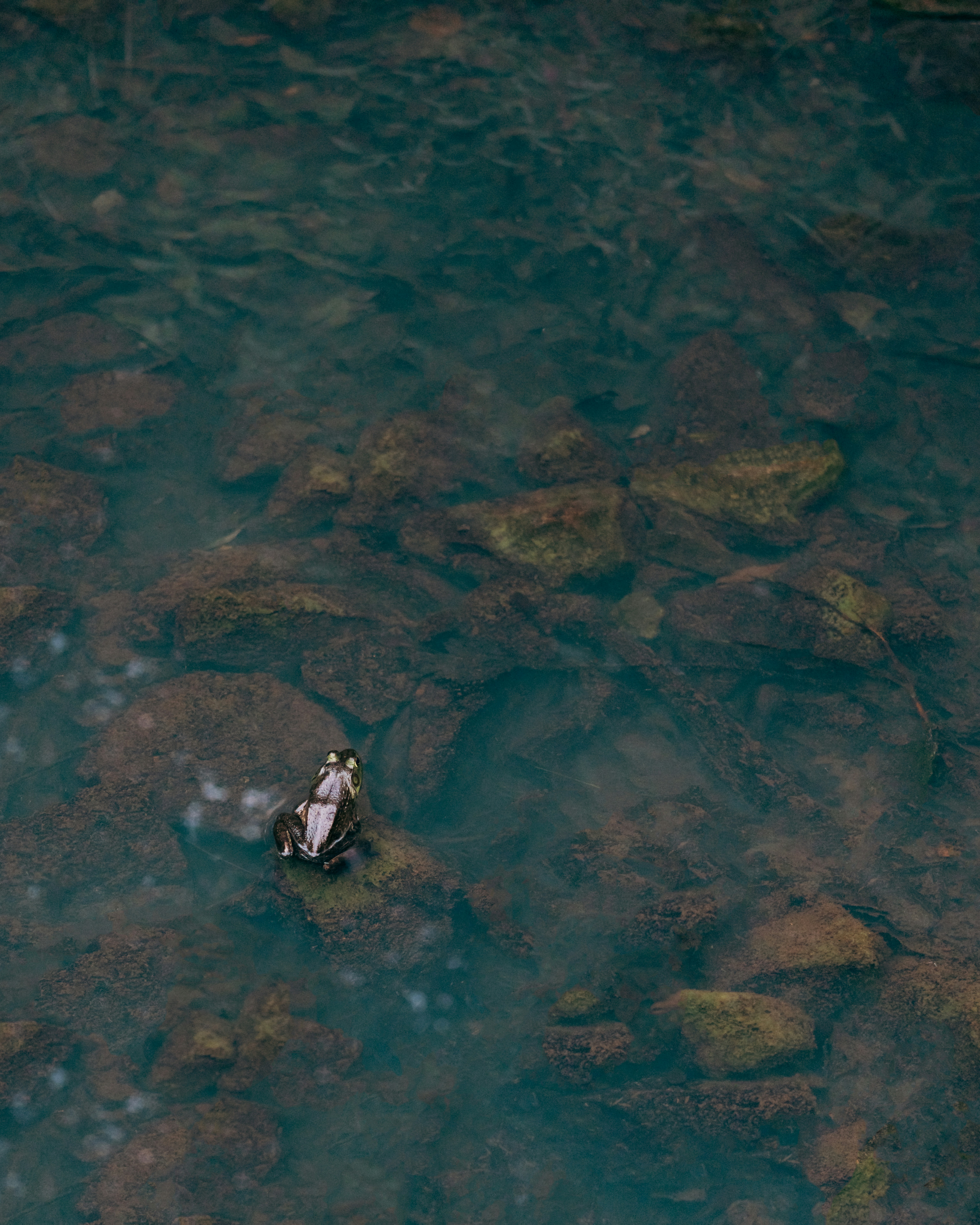 Photo by kingtographer