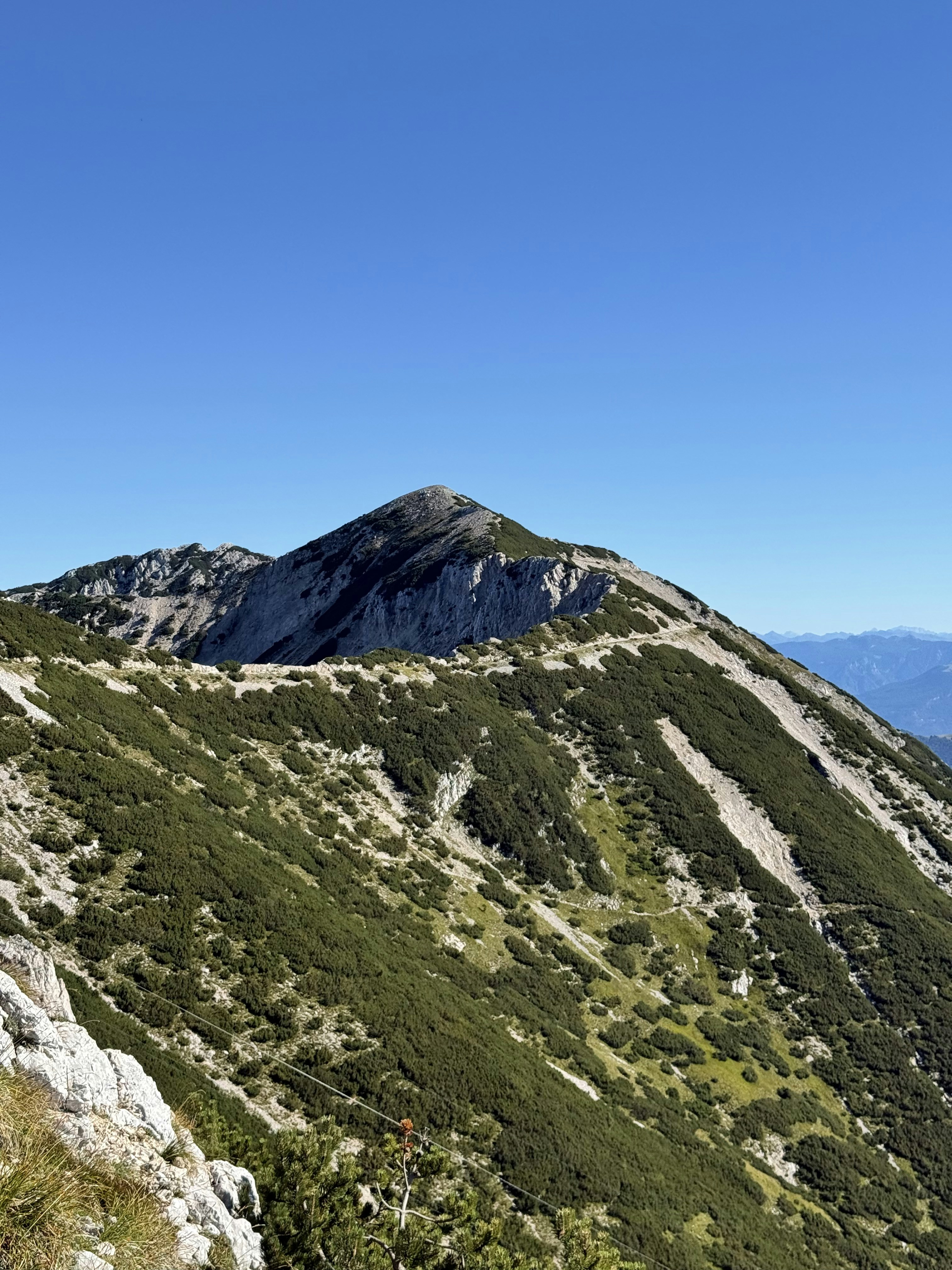 Photo by michaelmartinelli