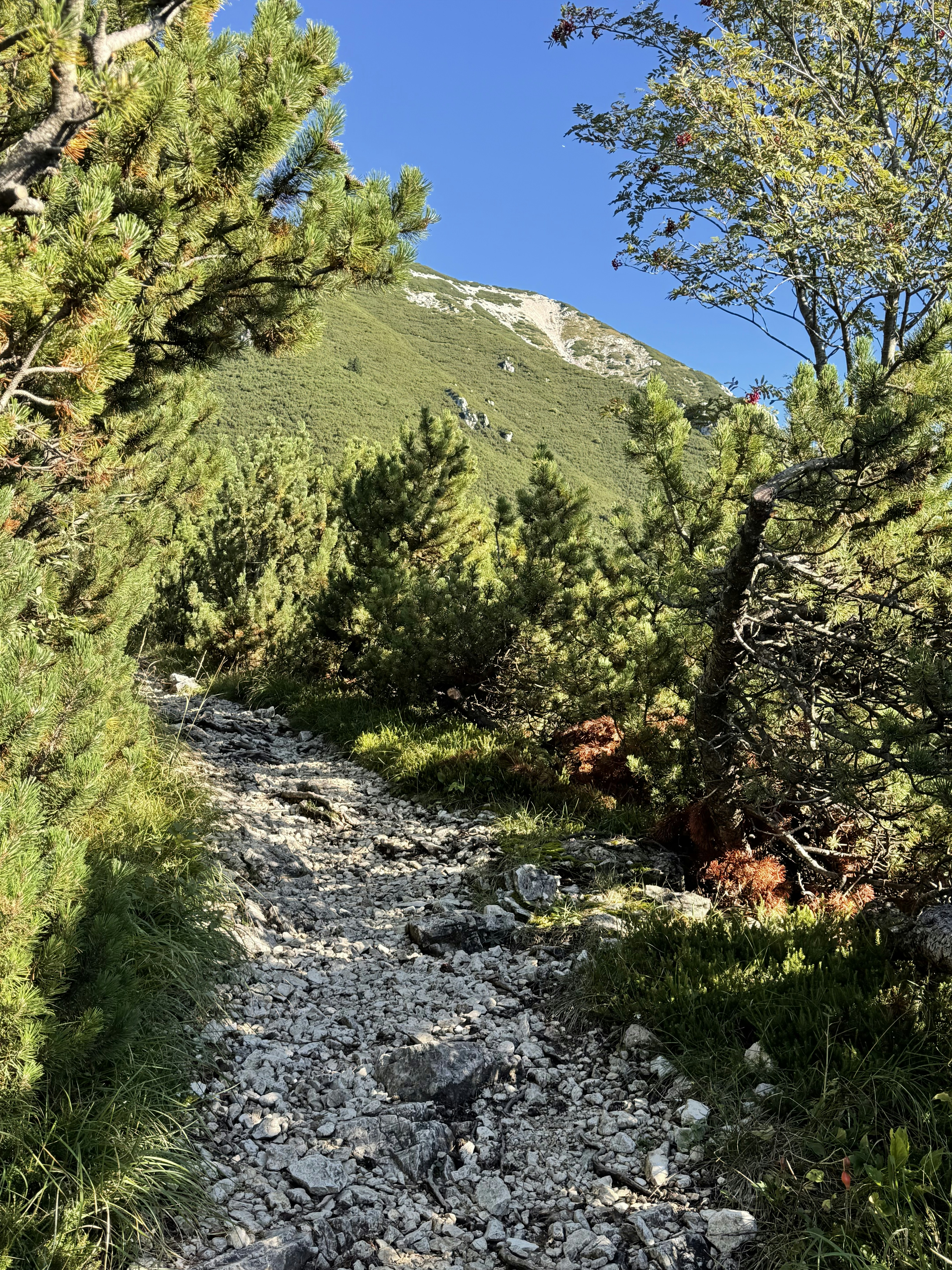 Photo by michaelmartinelli