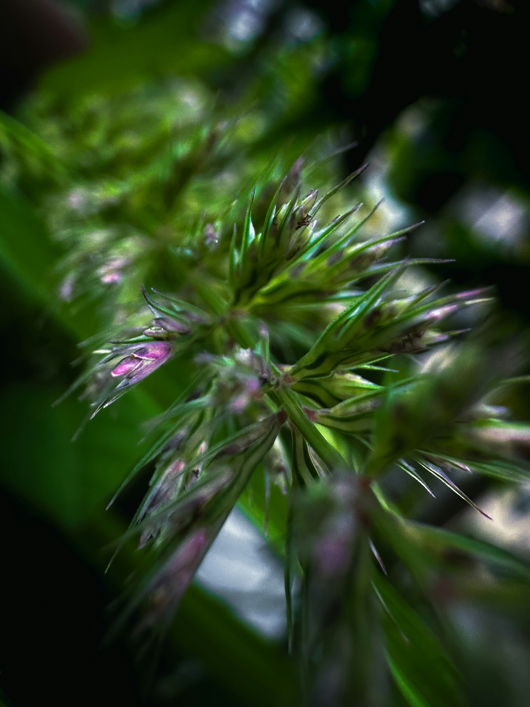 Photo by iamdivyanshdwivedi
