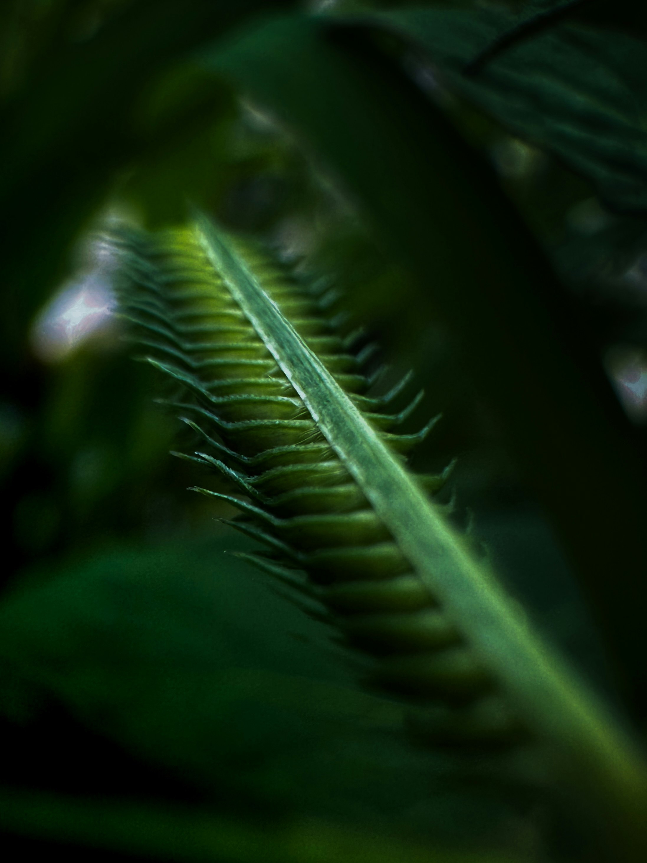 Photo by iamdivyanshdwivedi