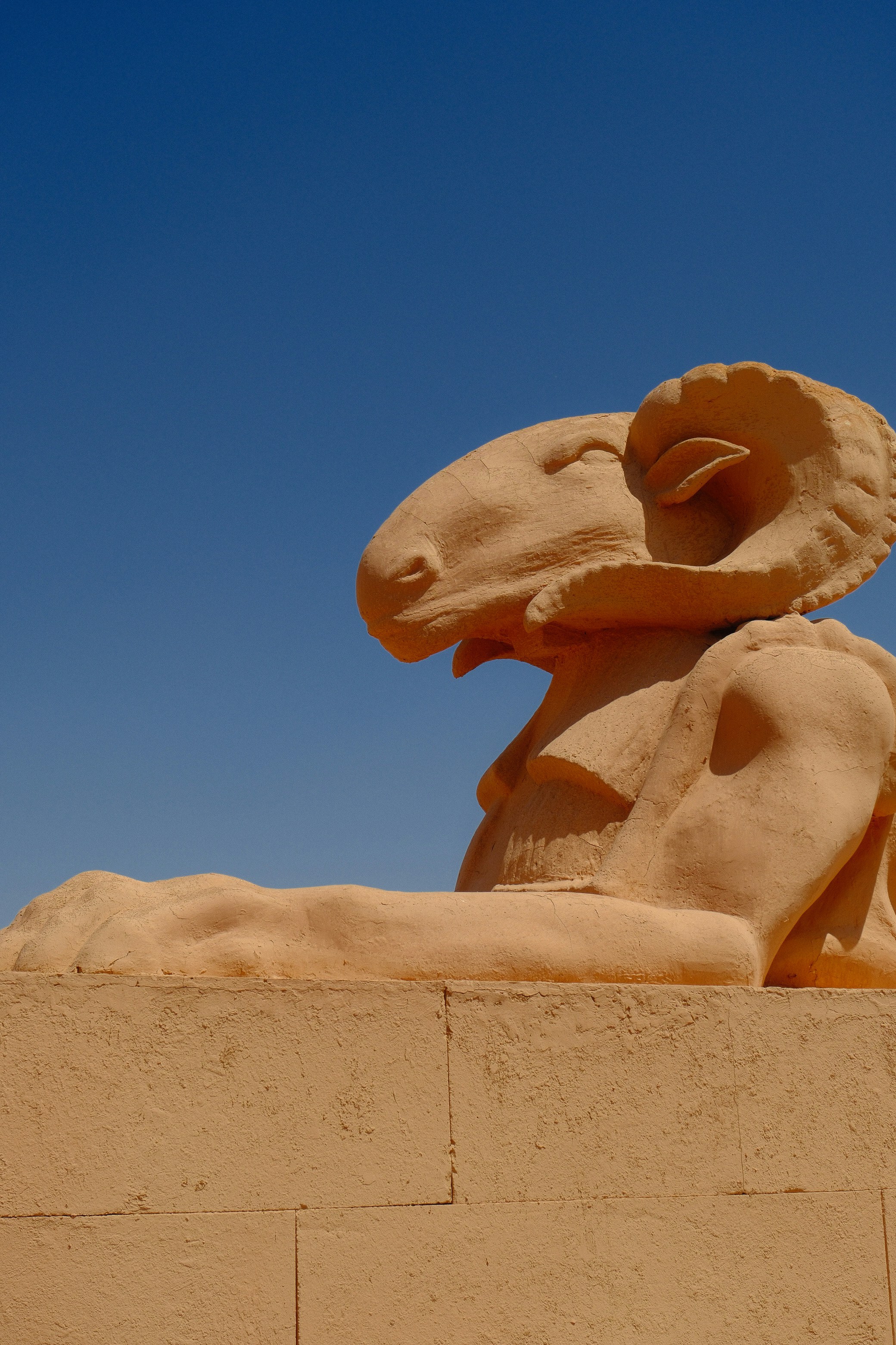 Photo by raulmermans