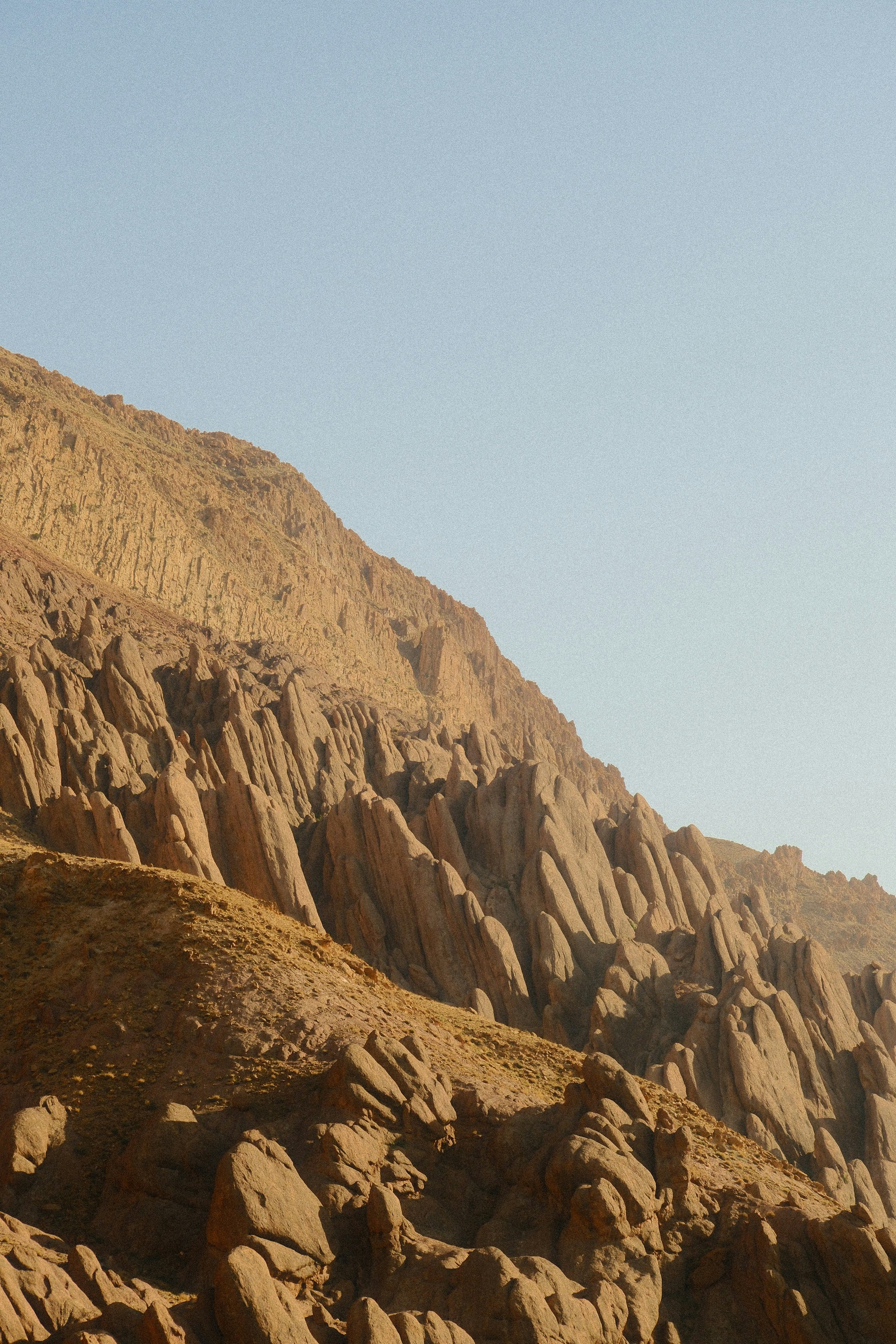 Photo by raulmermans