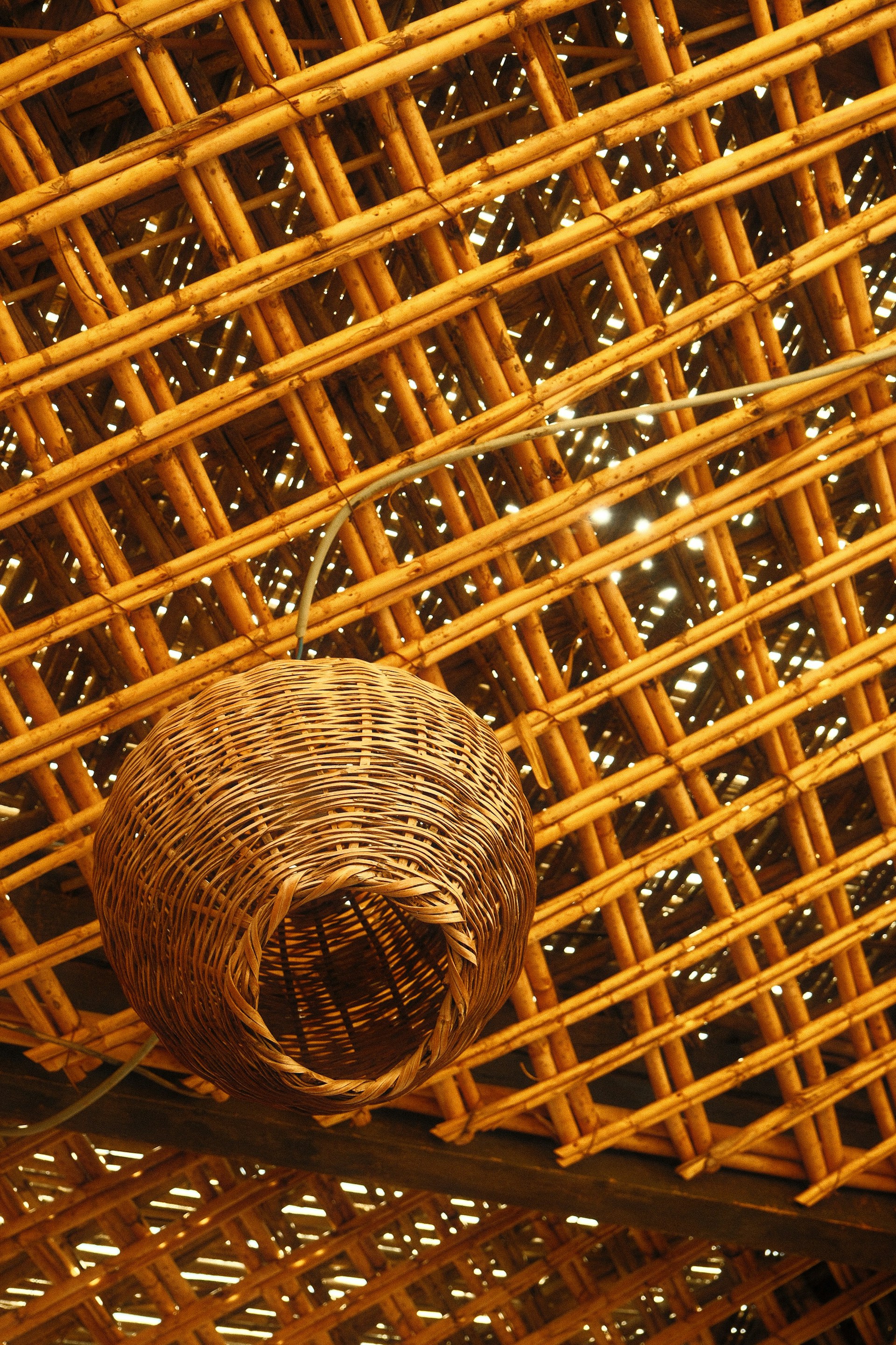 Woven basket hanging from bamboo ceiling