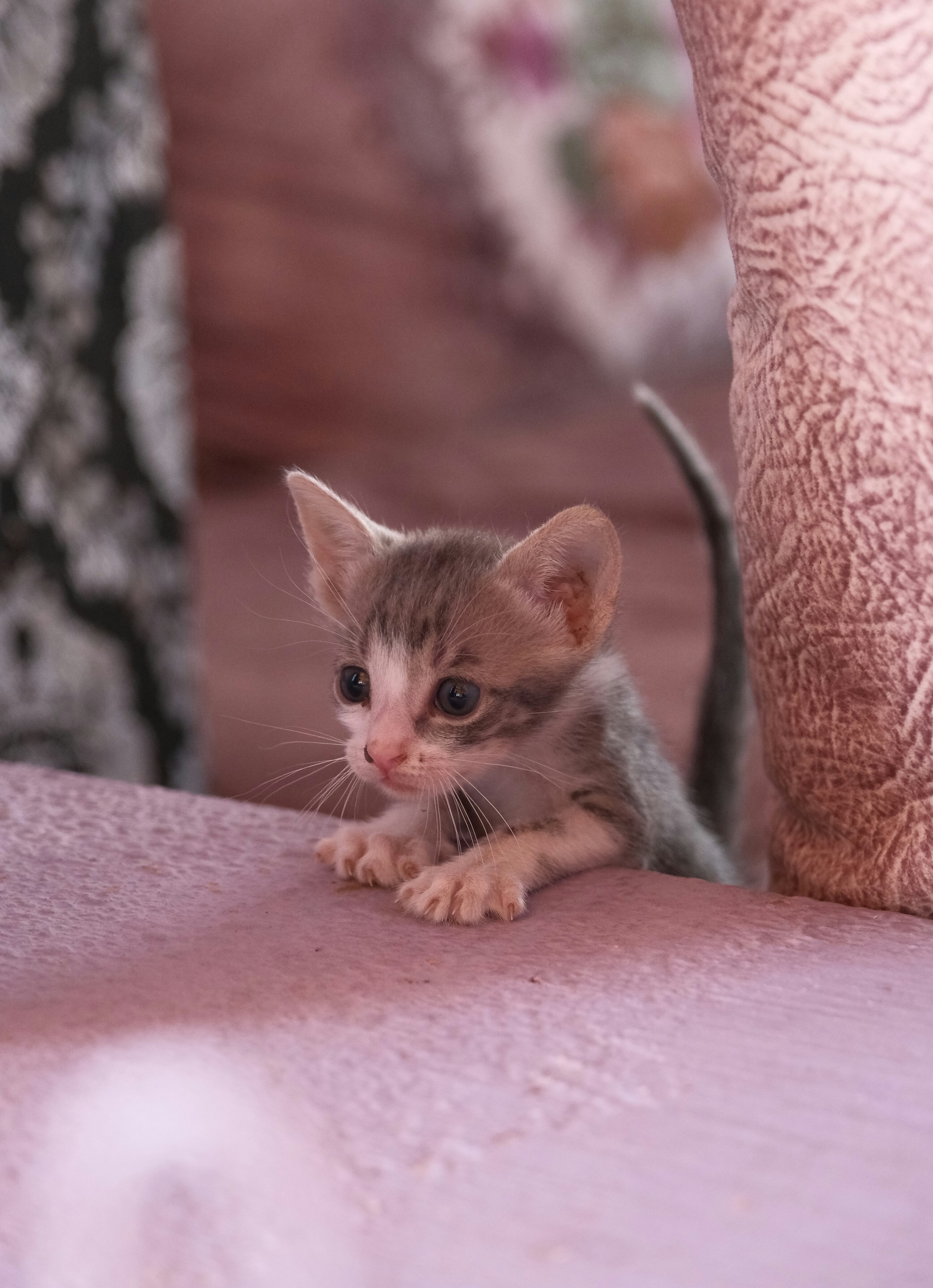 Photo by raulmermans