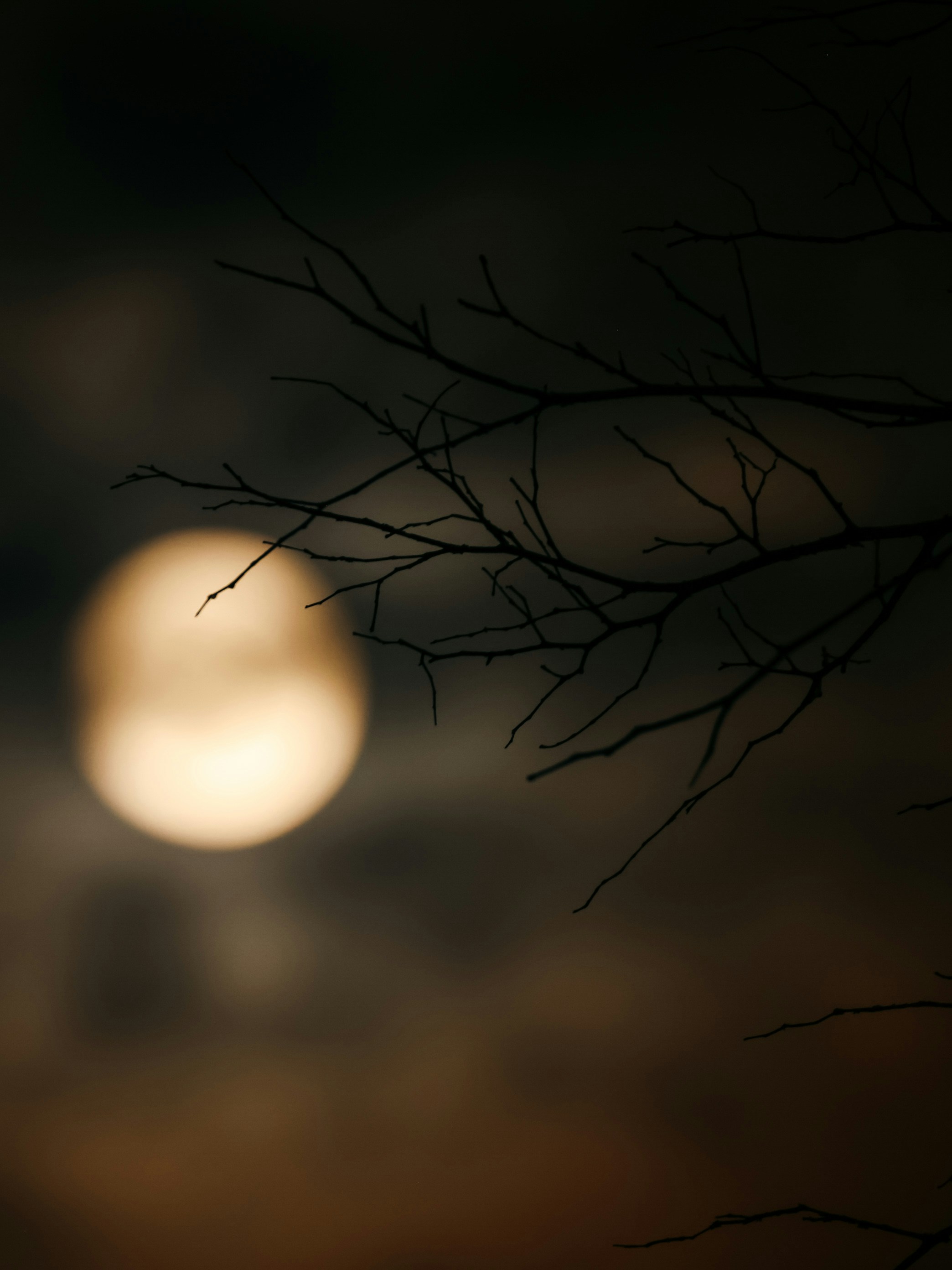 Photo by dickenslin76