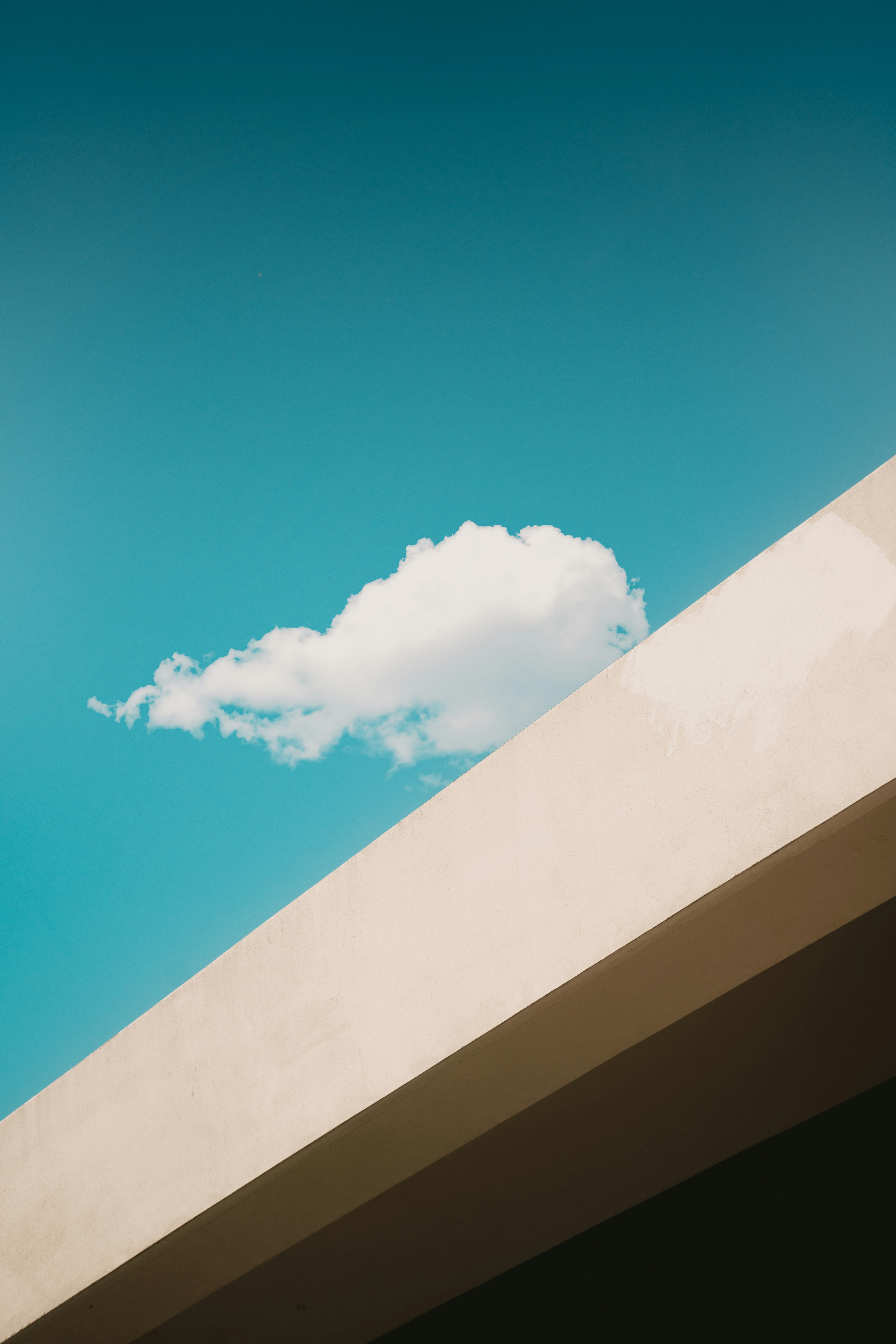 Photo by infernisvox