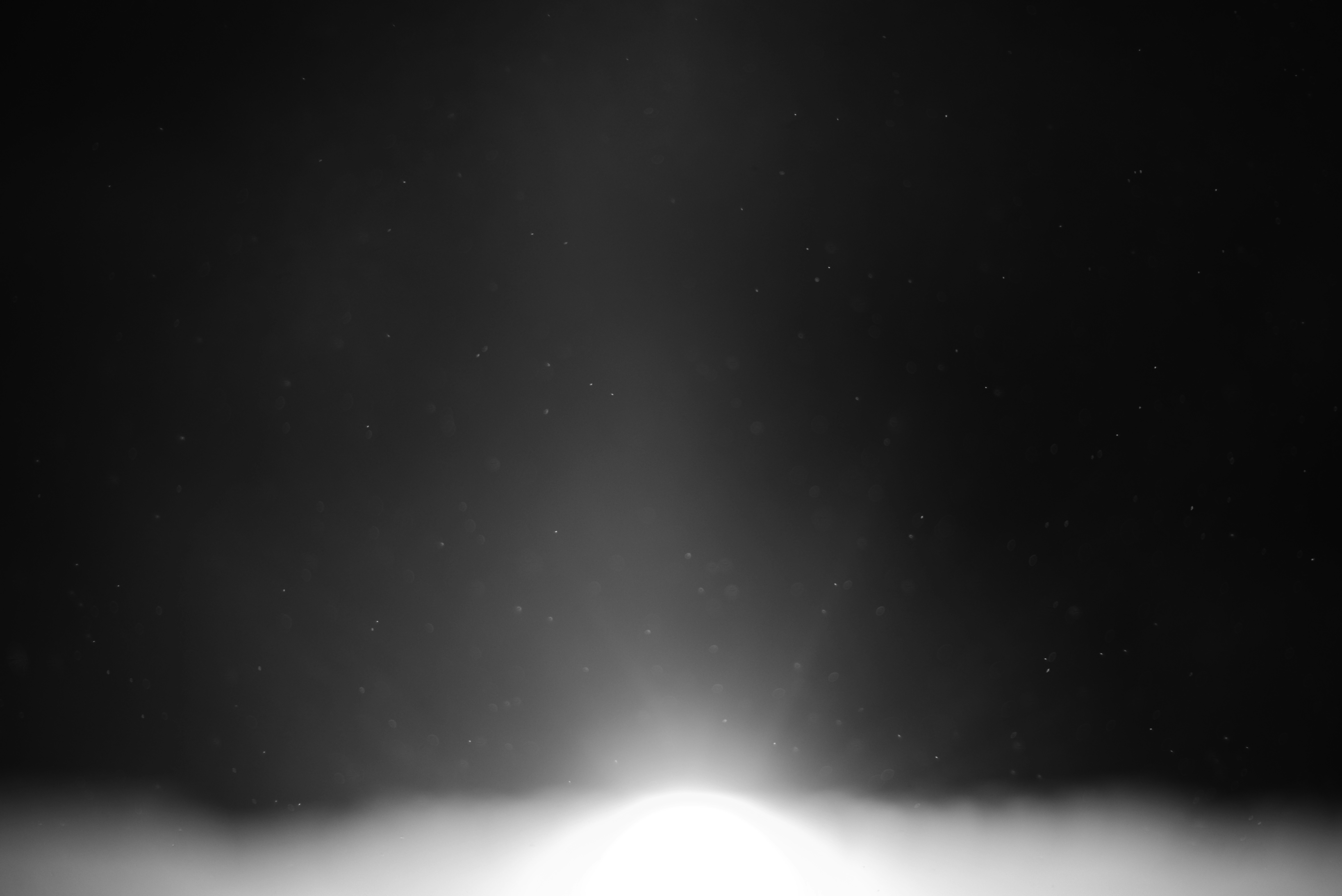 Photo by cherstve_pechivo