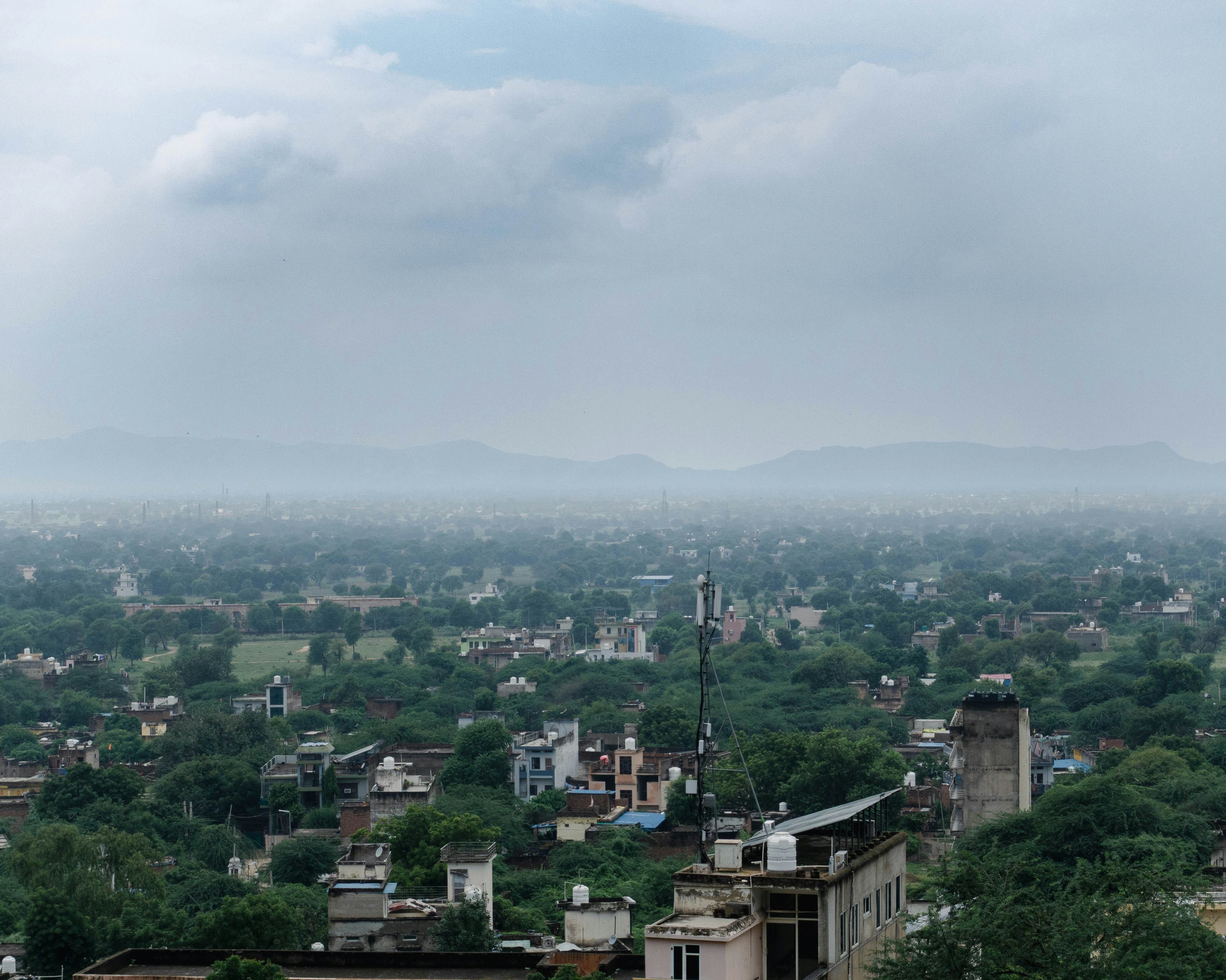 木々が生い茂る広大な街の上の曇り空。