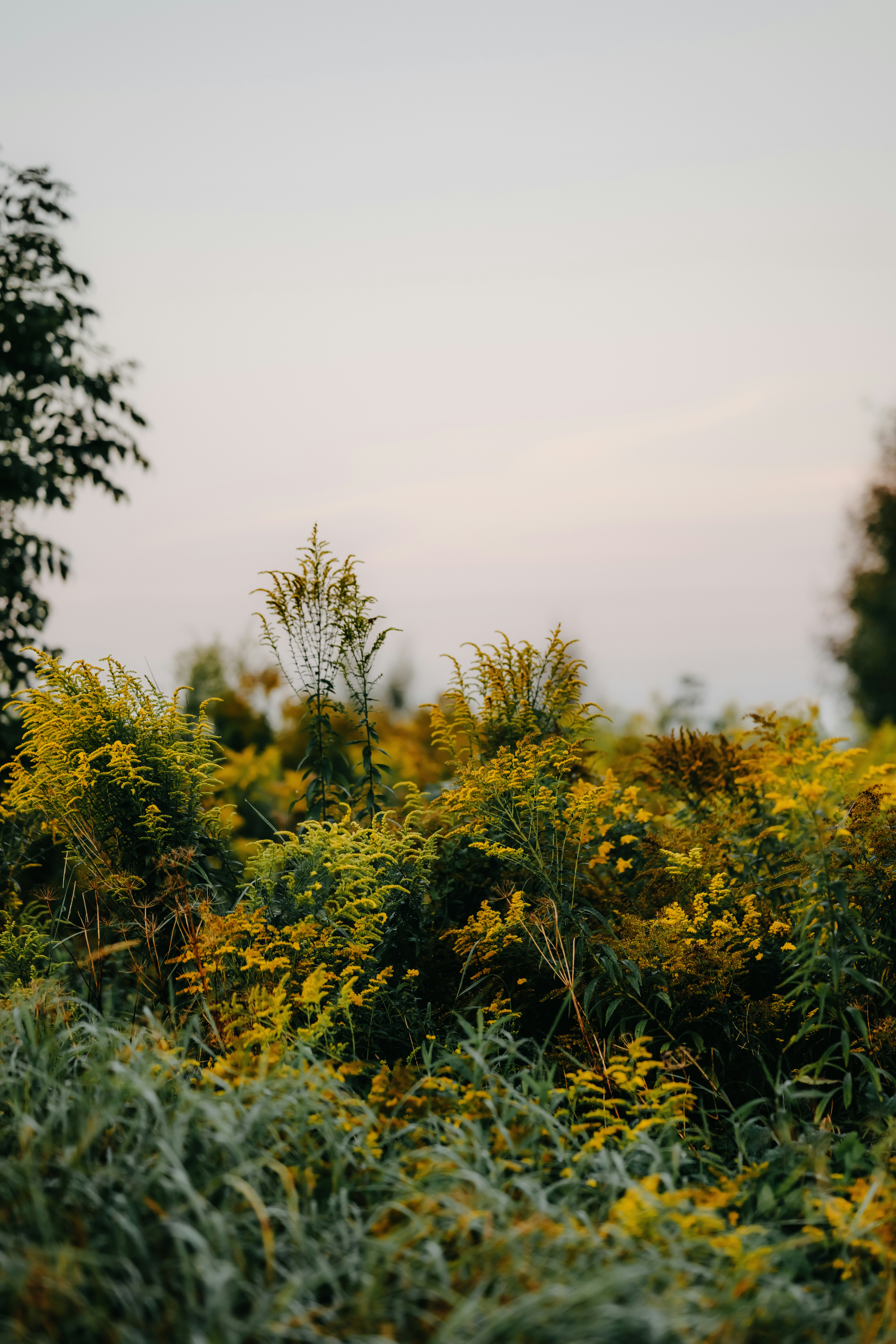 Photo by kristapsungurs