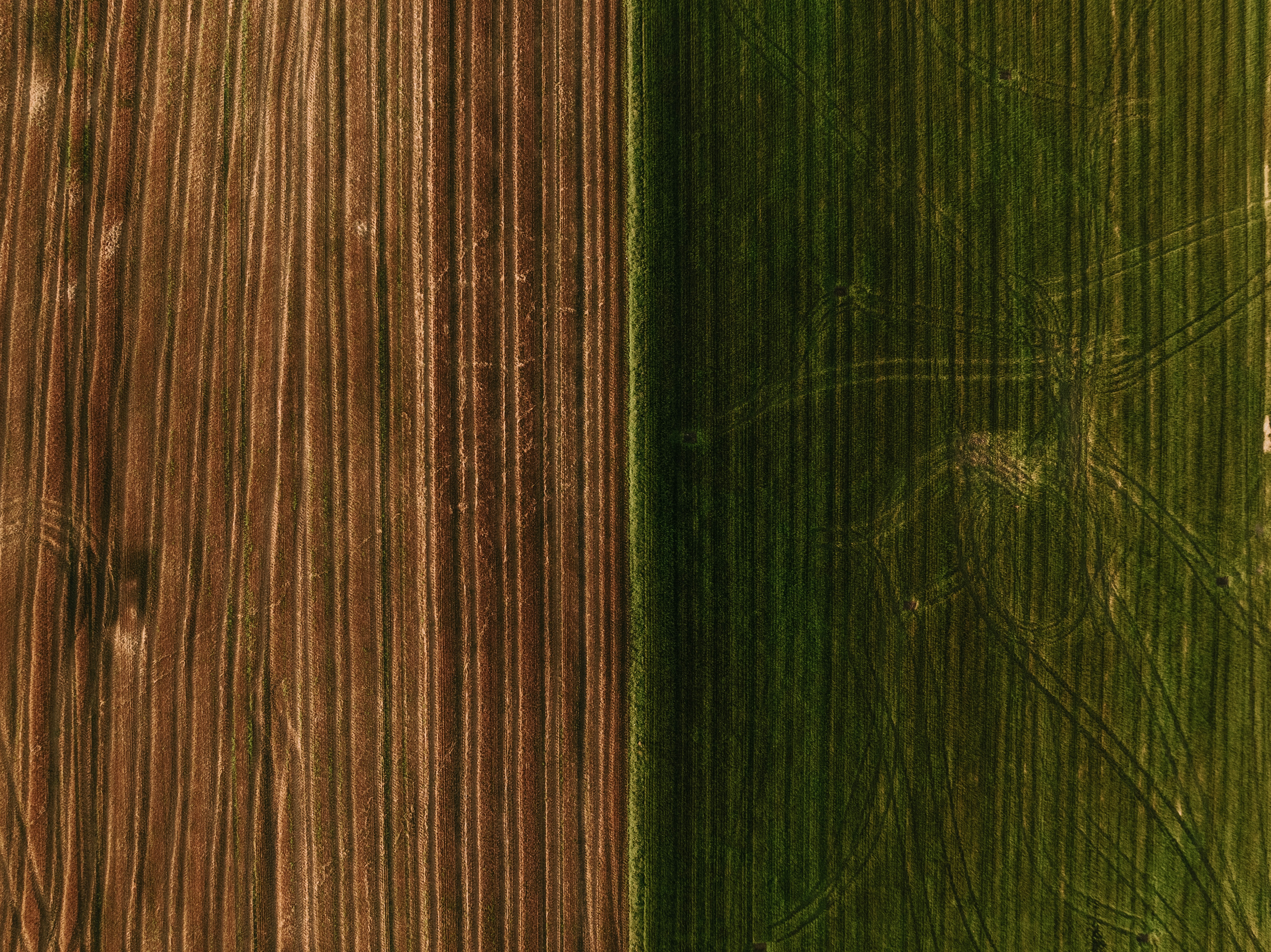 Photo by kristapsungurs