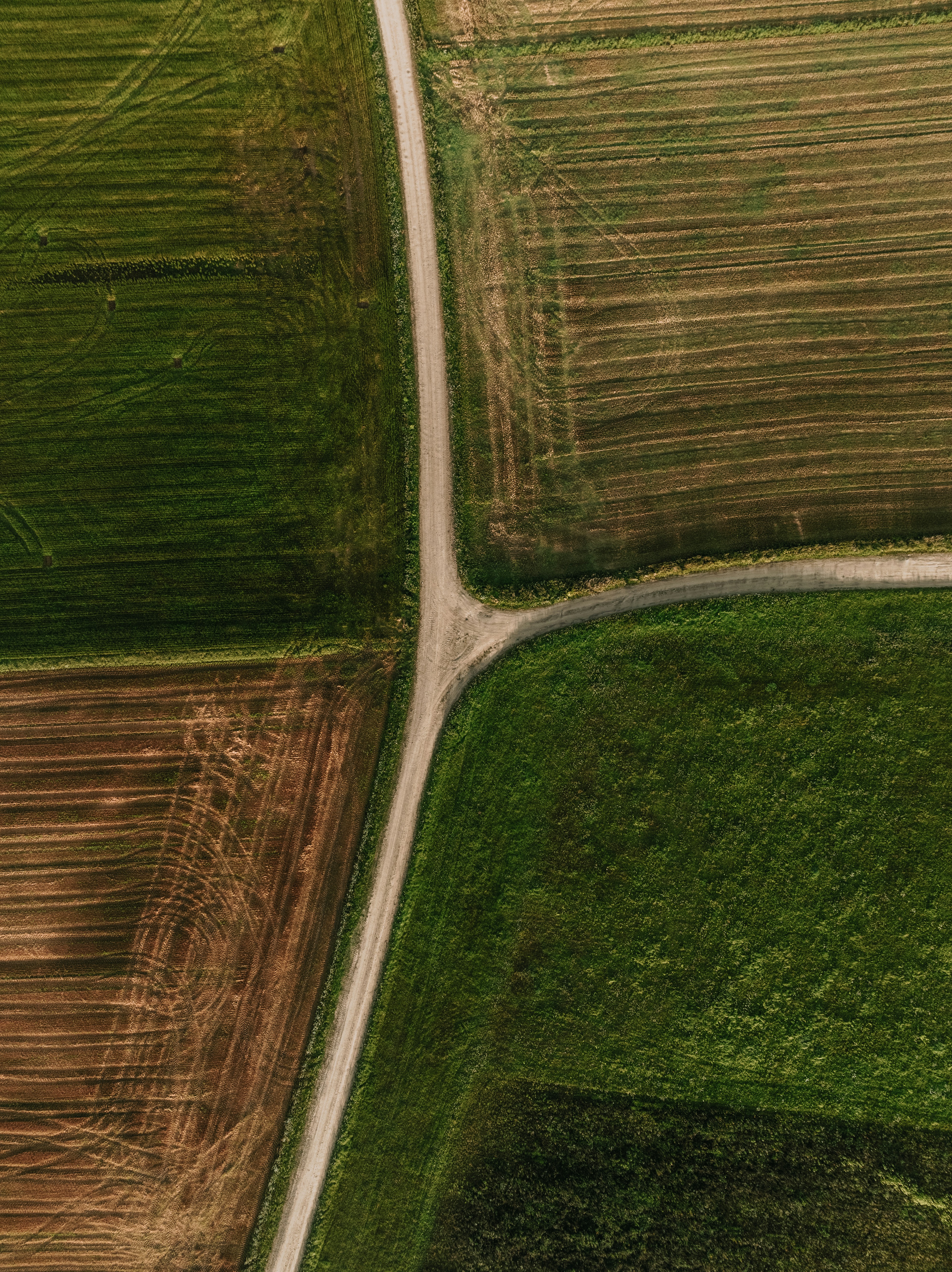 Photo by kristapsungurs