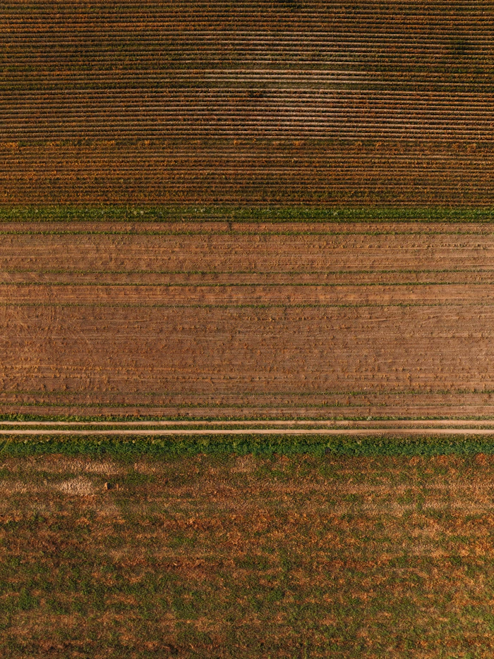 Farm plots in layered bands seen from the sky