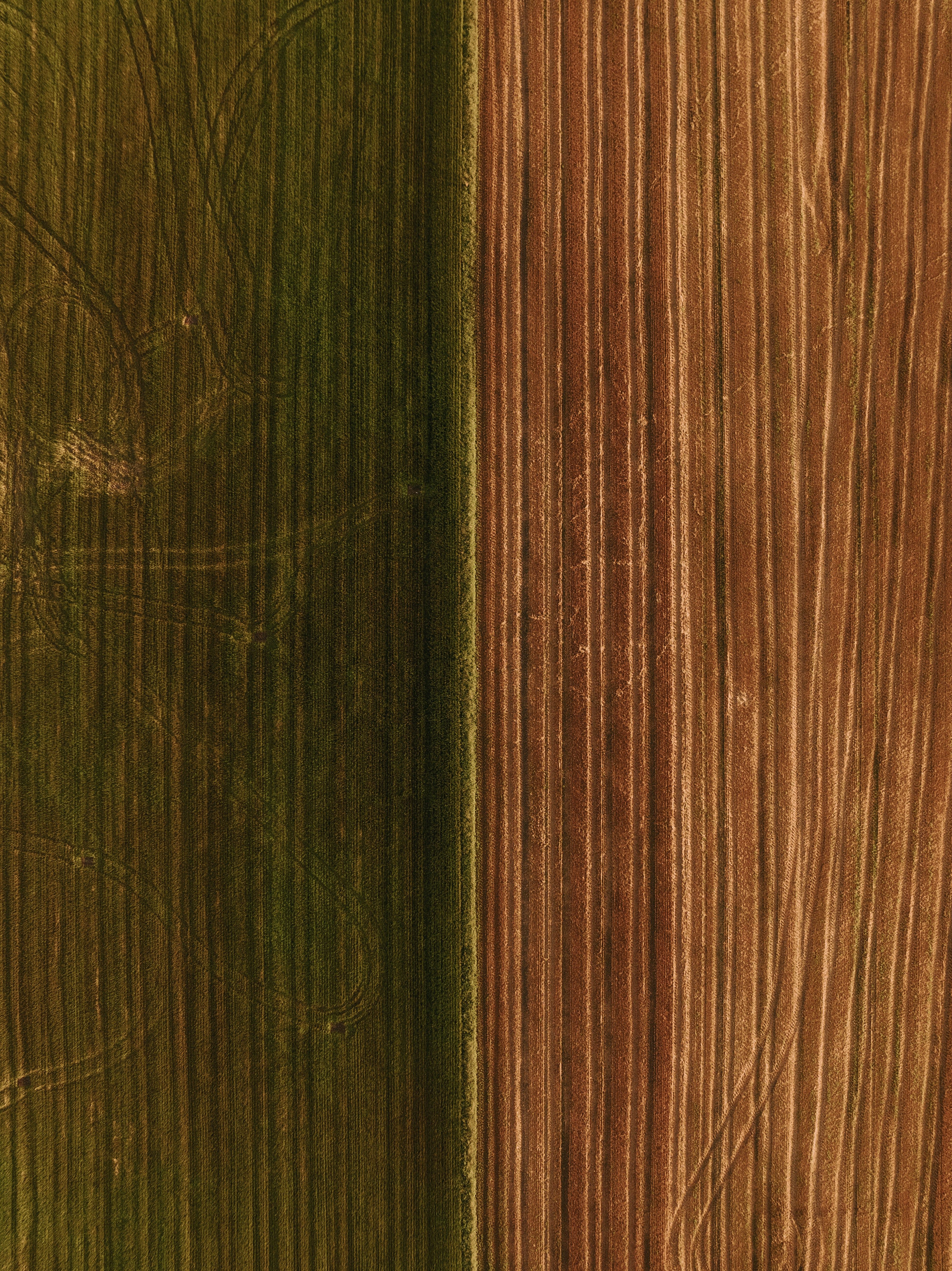 Photo by kristapsungurs