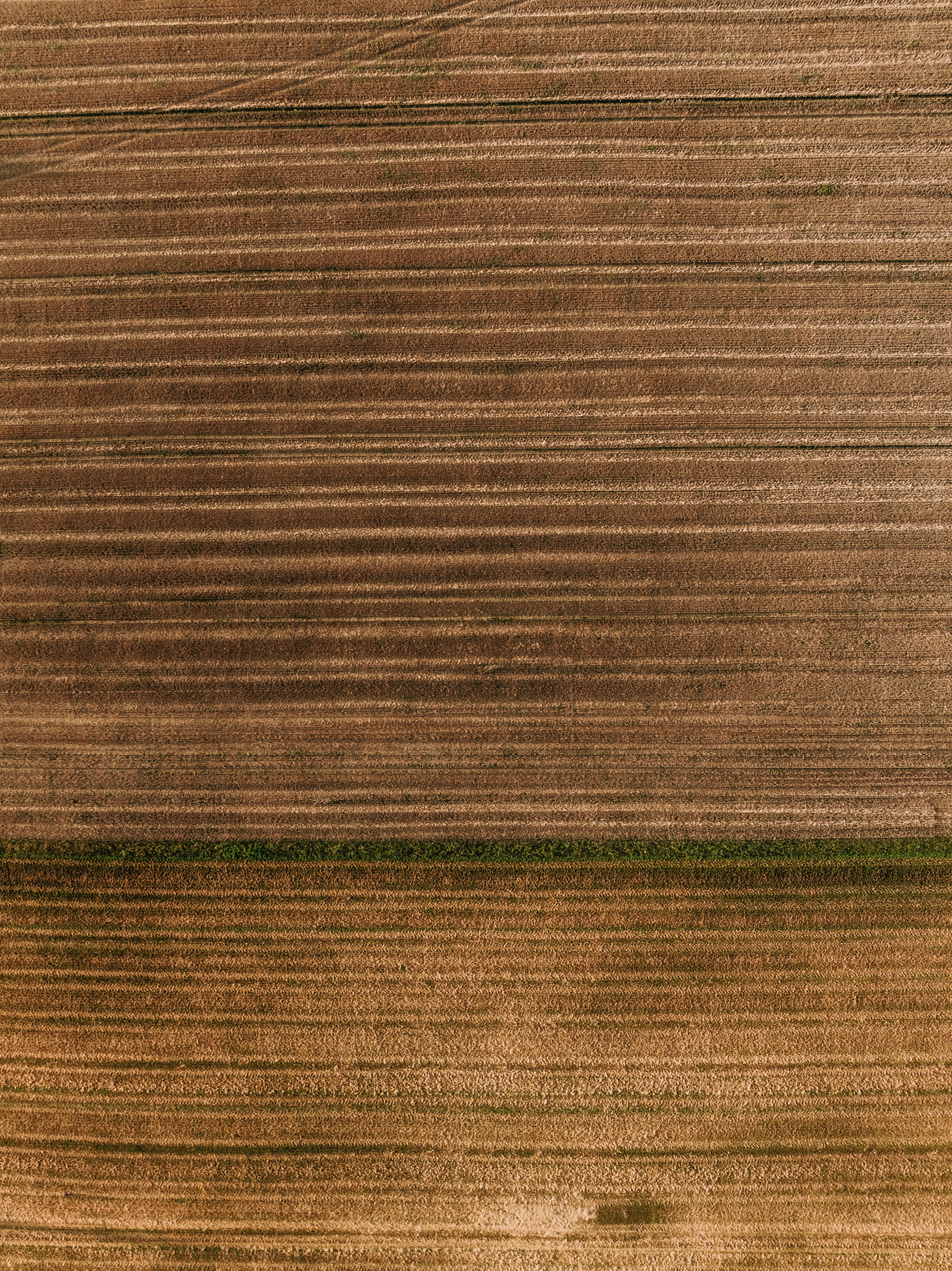 Photo by kristapsungurs