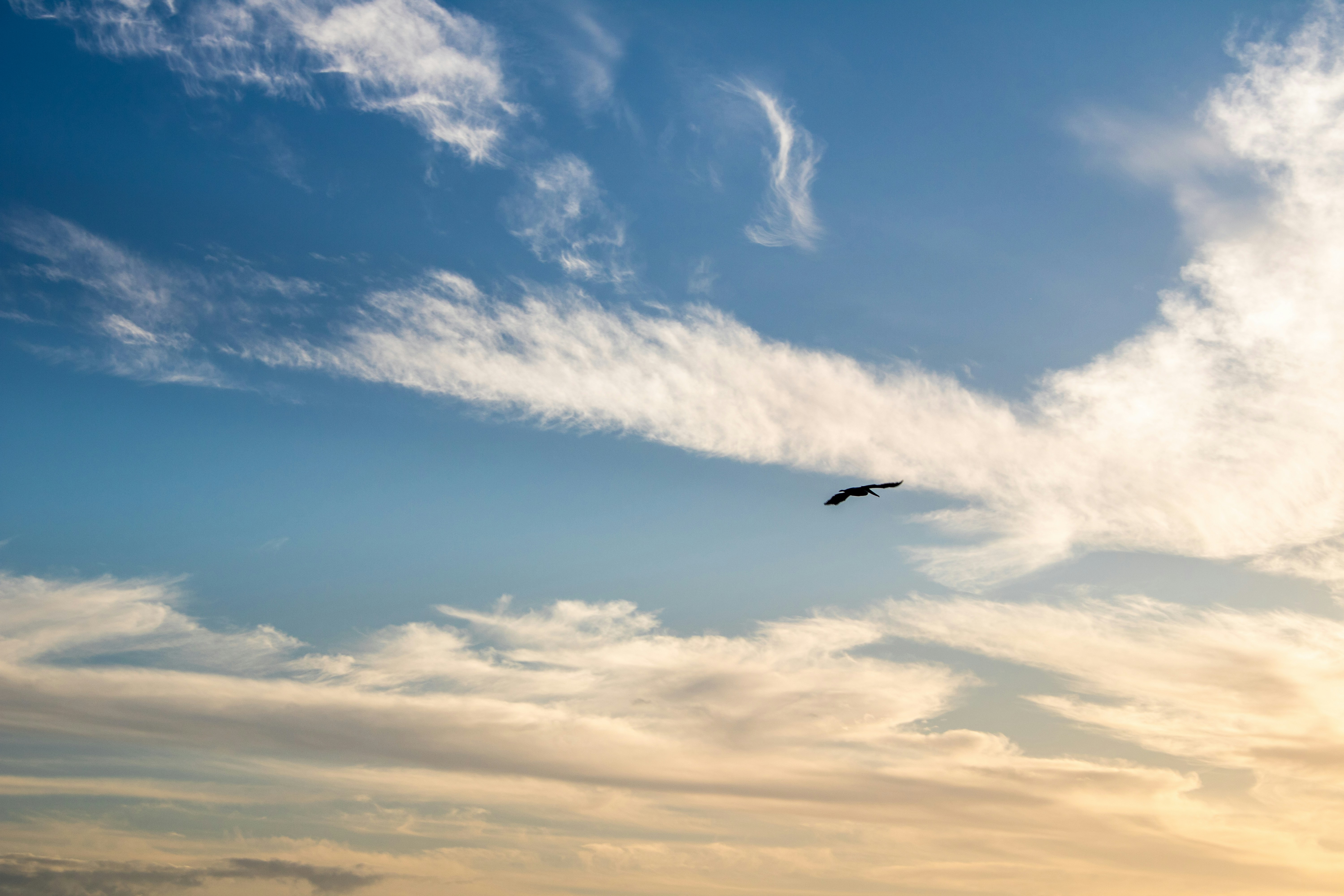 Photo by zoshuacolah