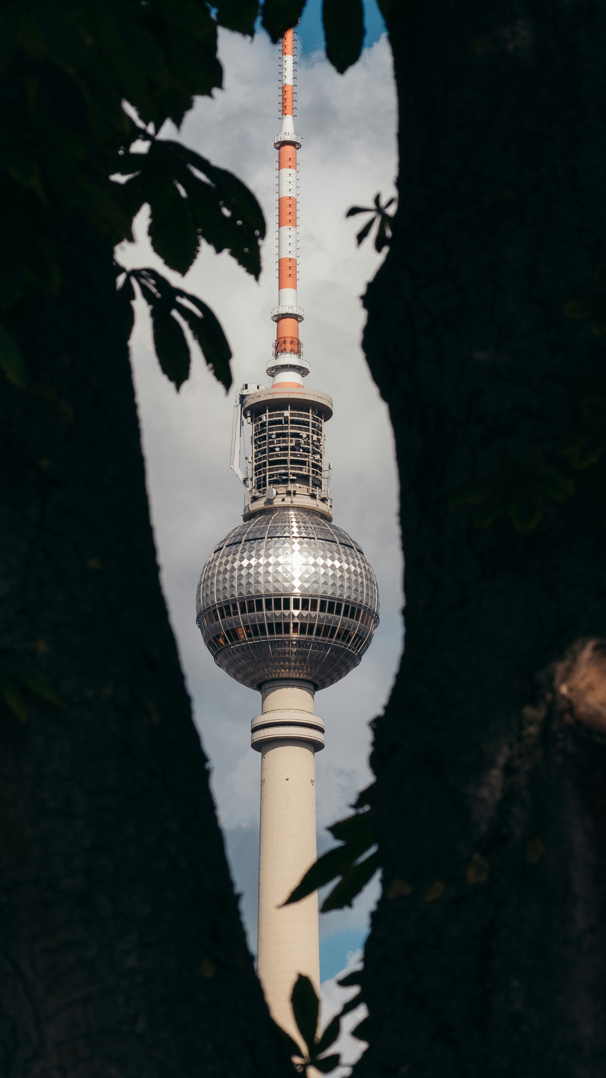 Television tower framed by dark tree branches