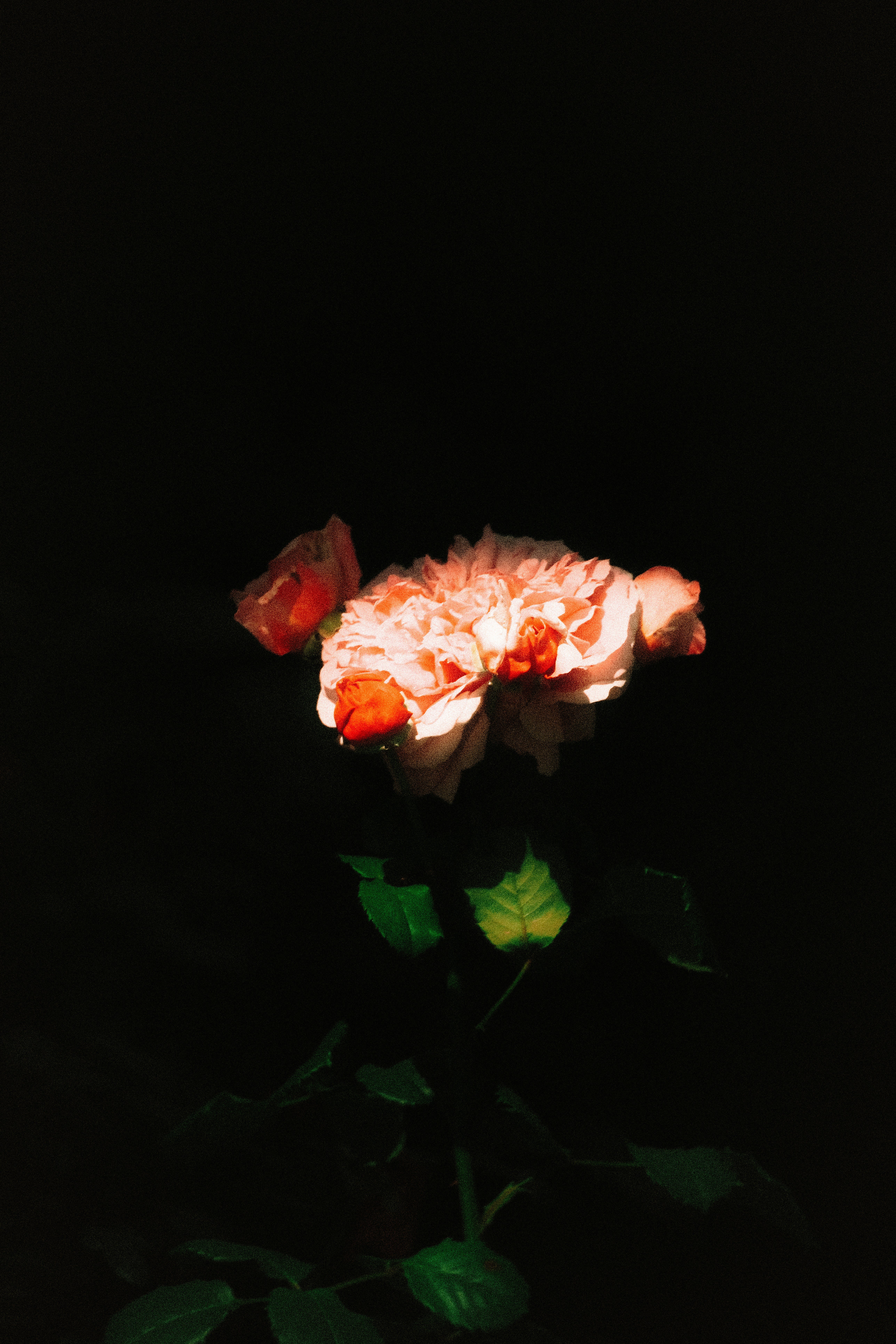 Photo by denisnaryshev