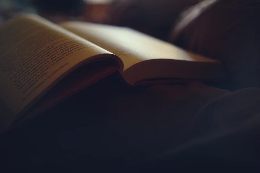 An open book, its pages catching soft atmospheric light