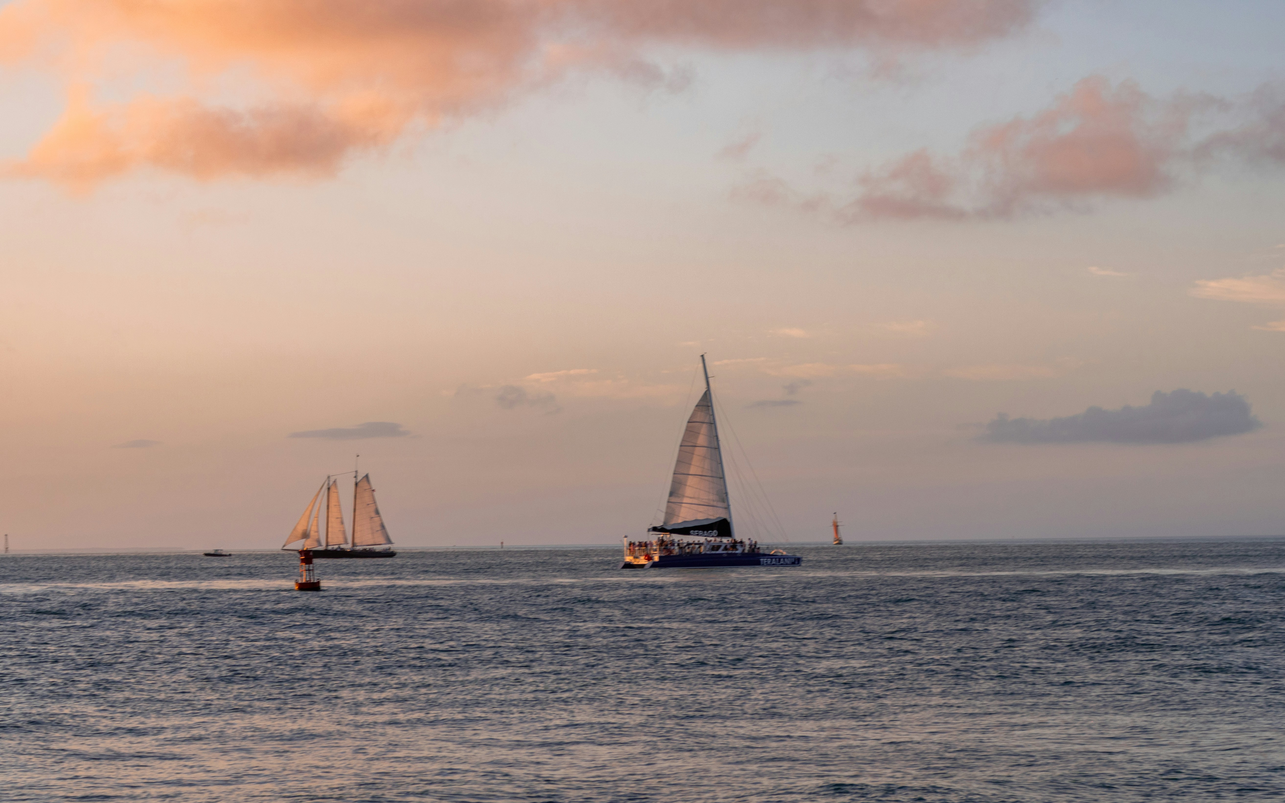 Photo by zoshuacolah