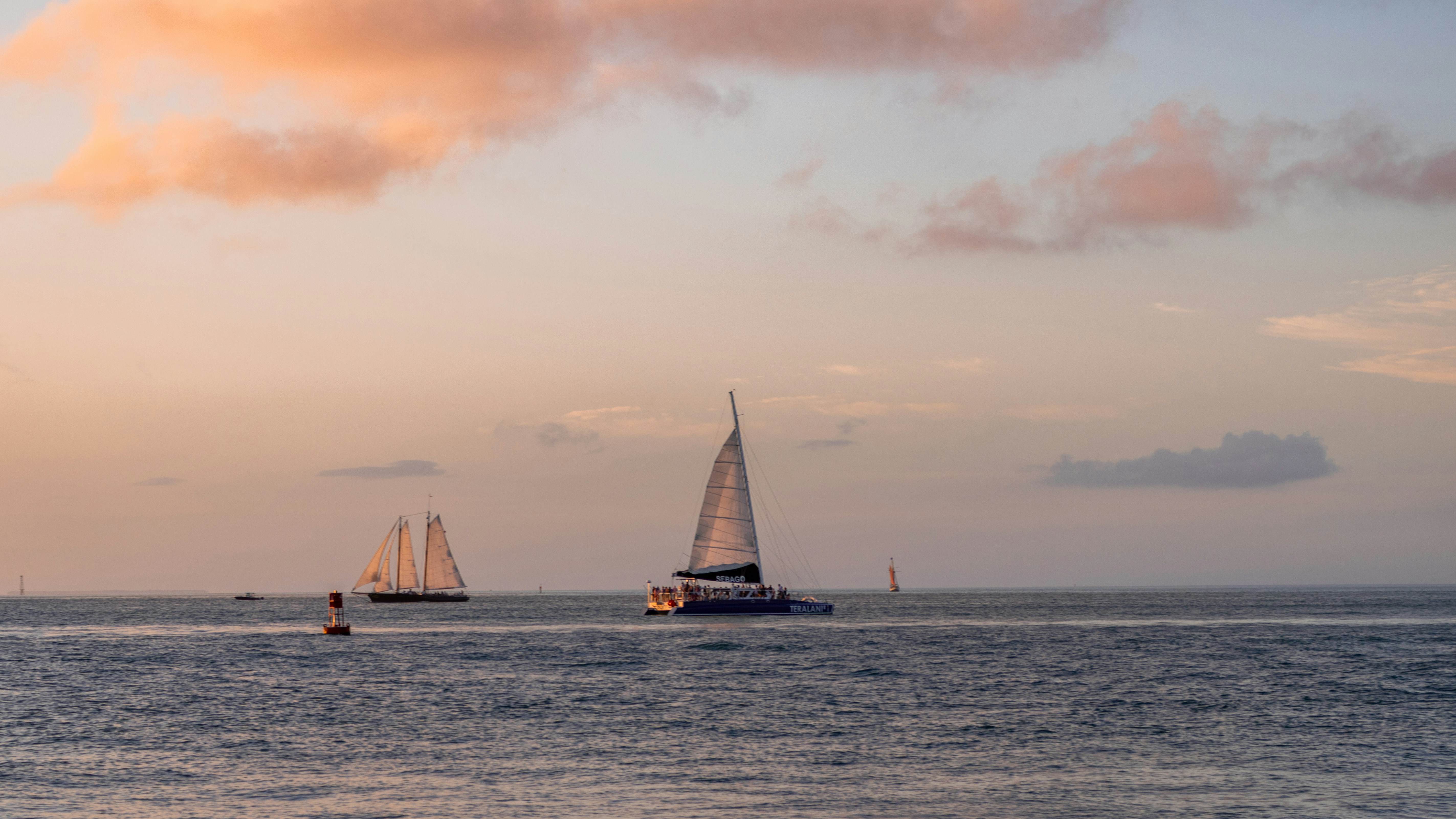 Photo by zoshuacolah