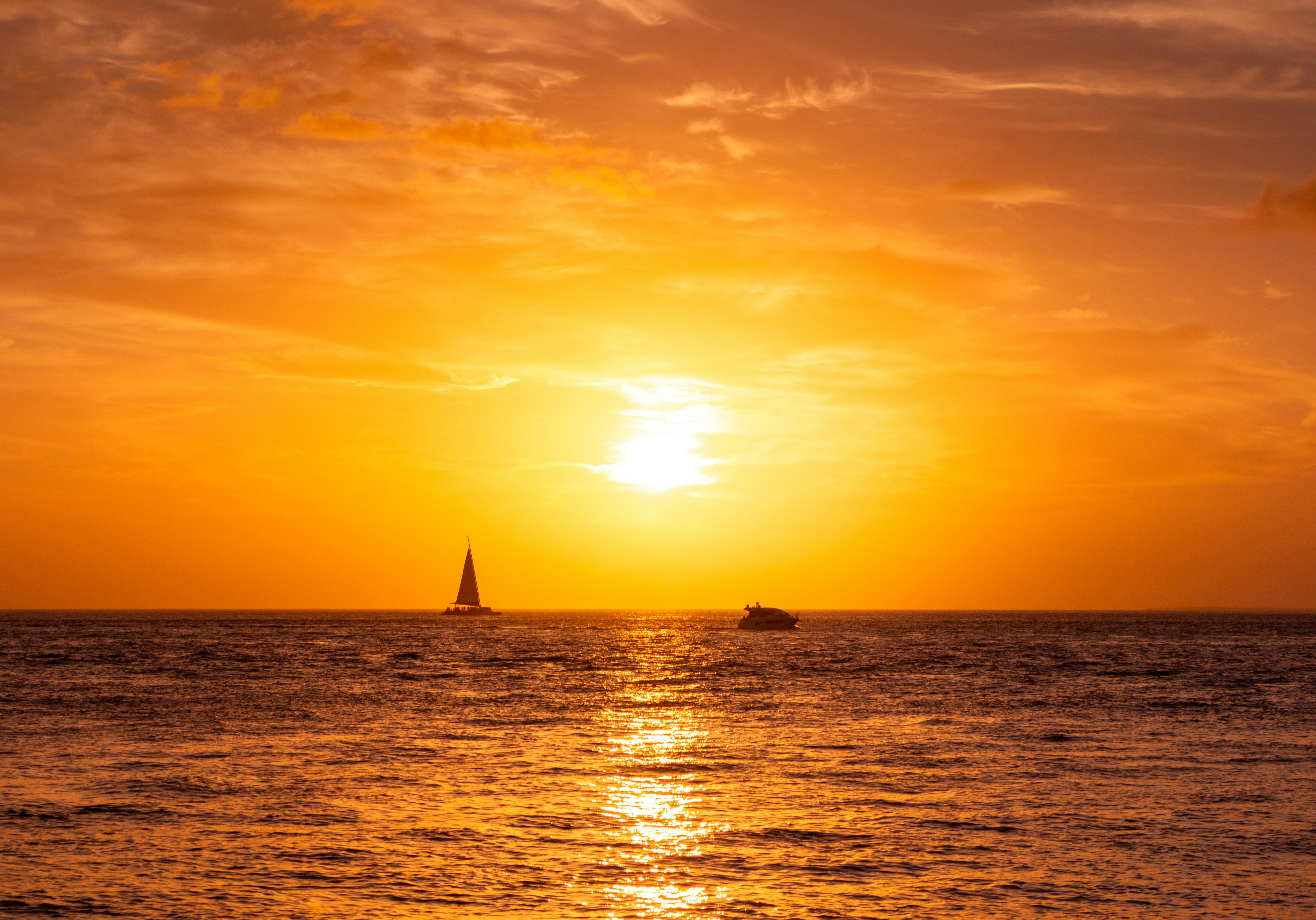 Photo by zoshuacolah