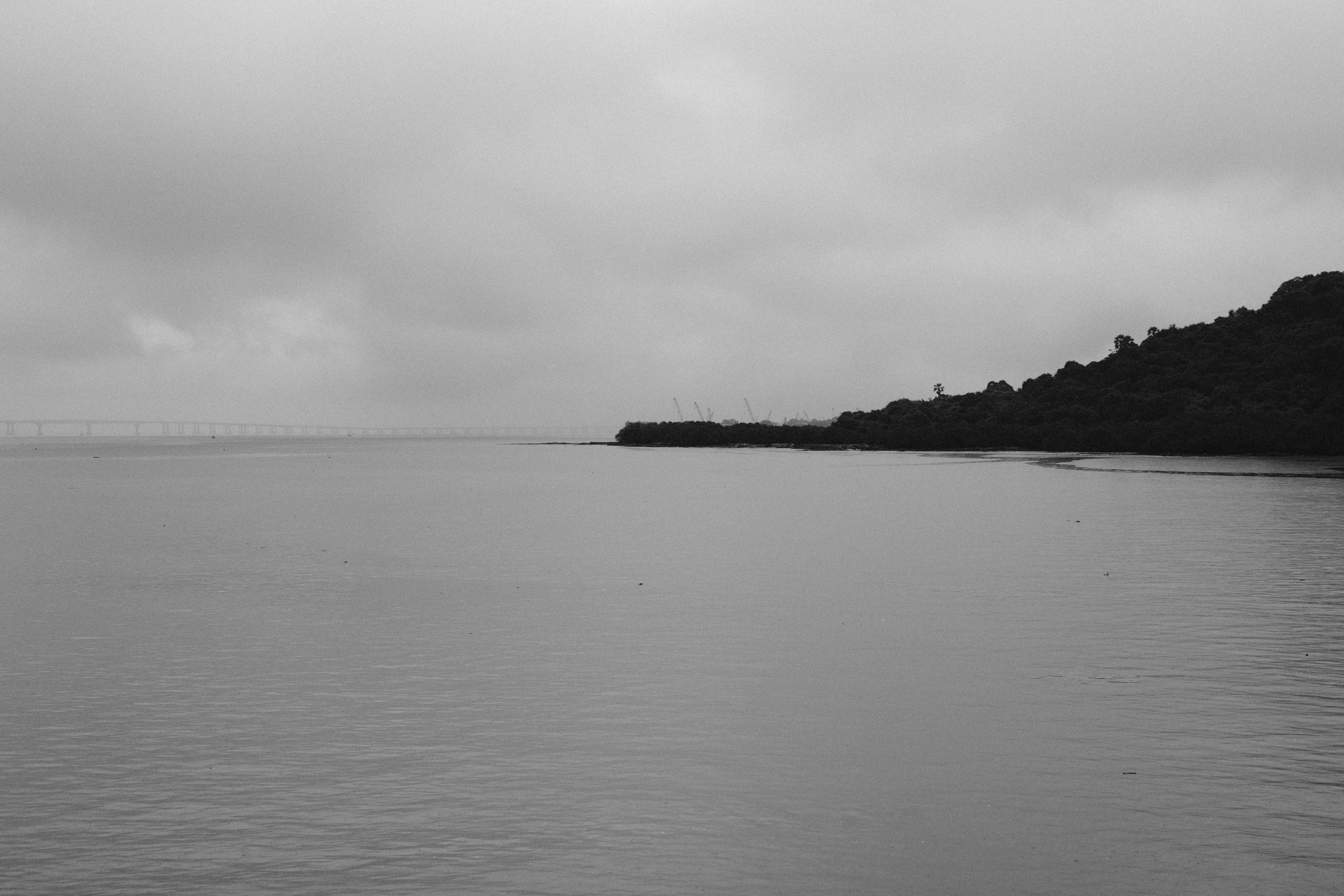 Photo by thejanarchive