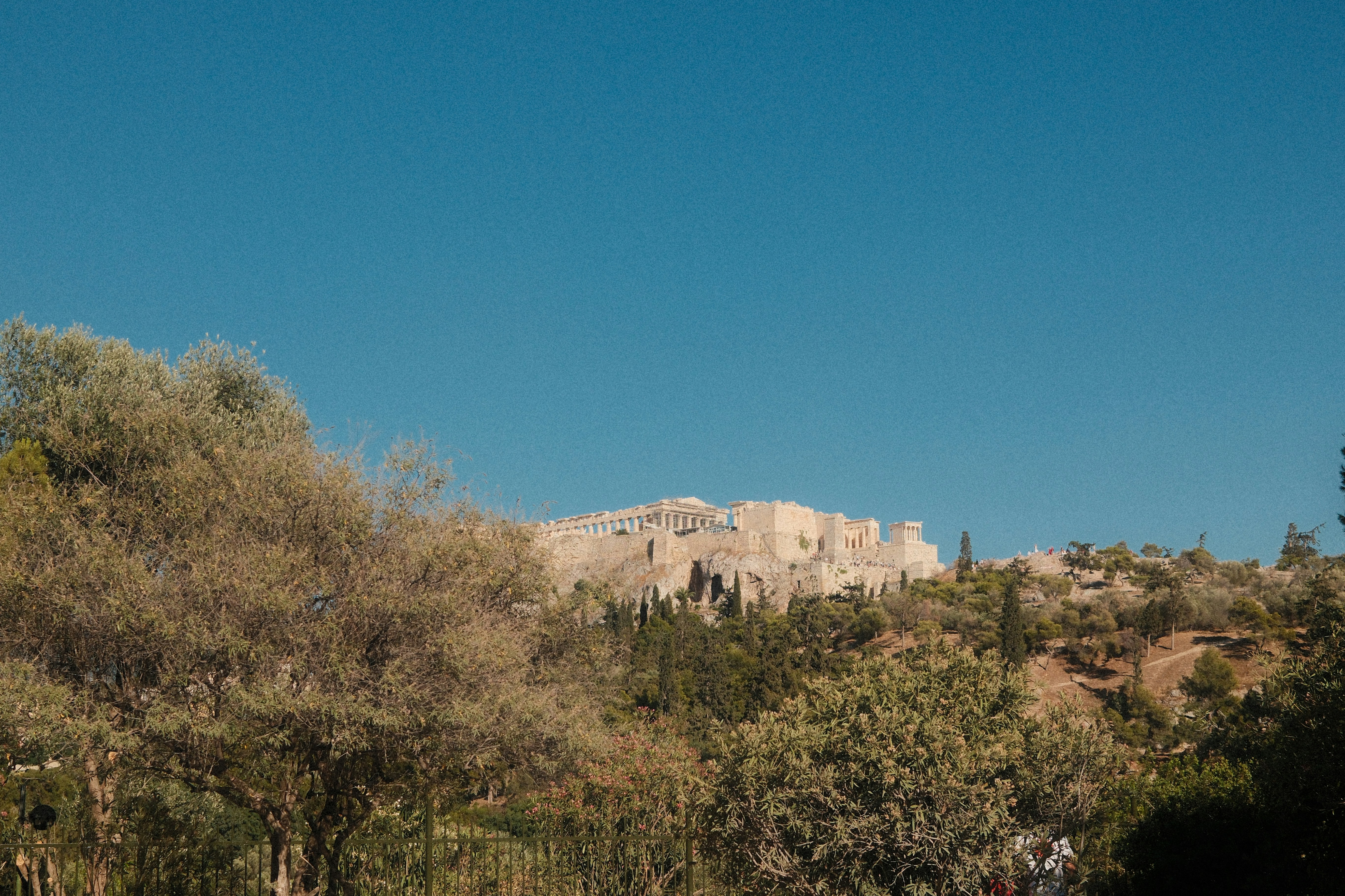 Photo by thejanarchive