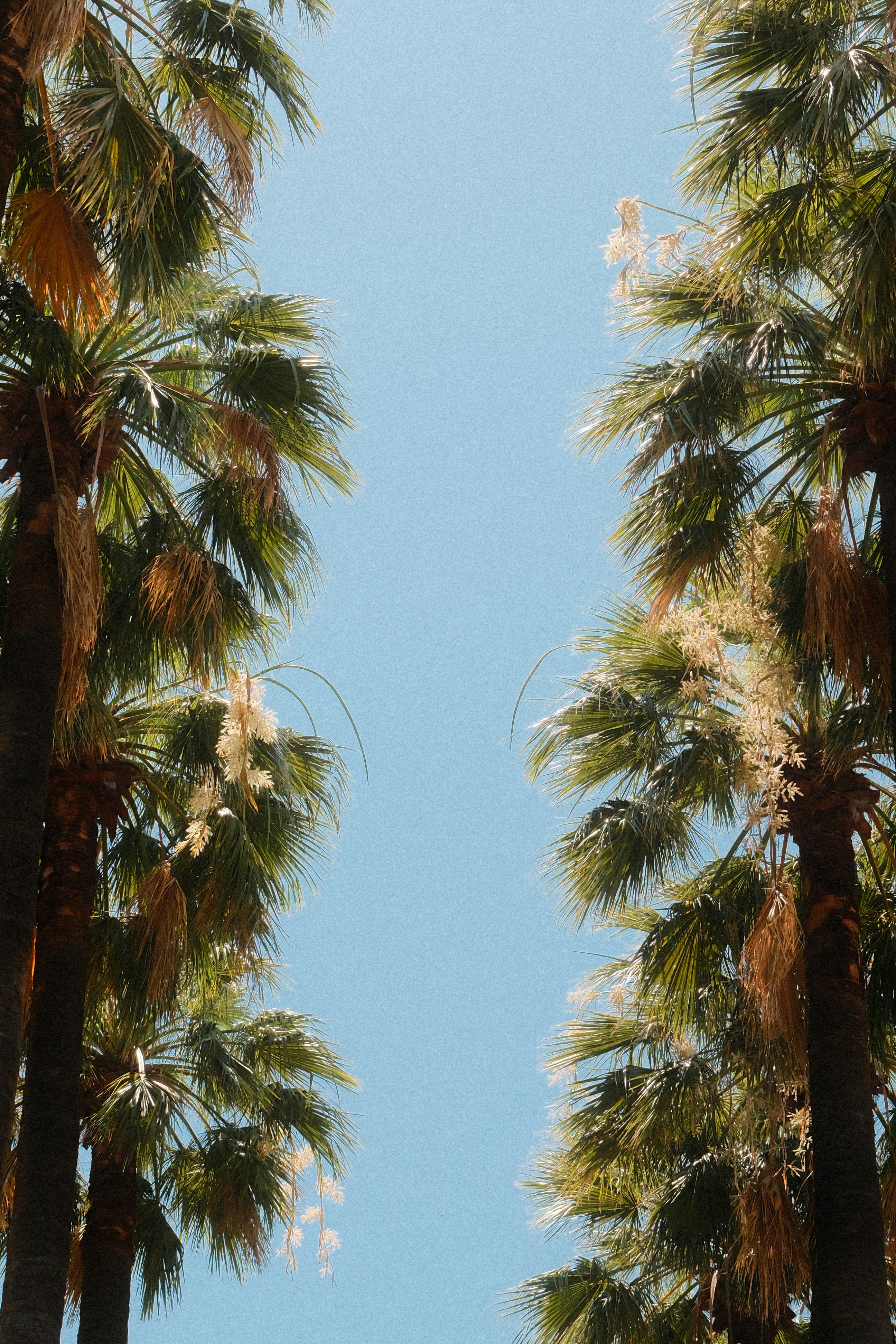 Photo by thejanarchive