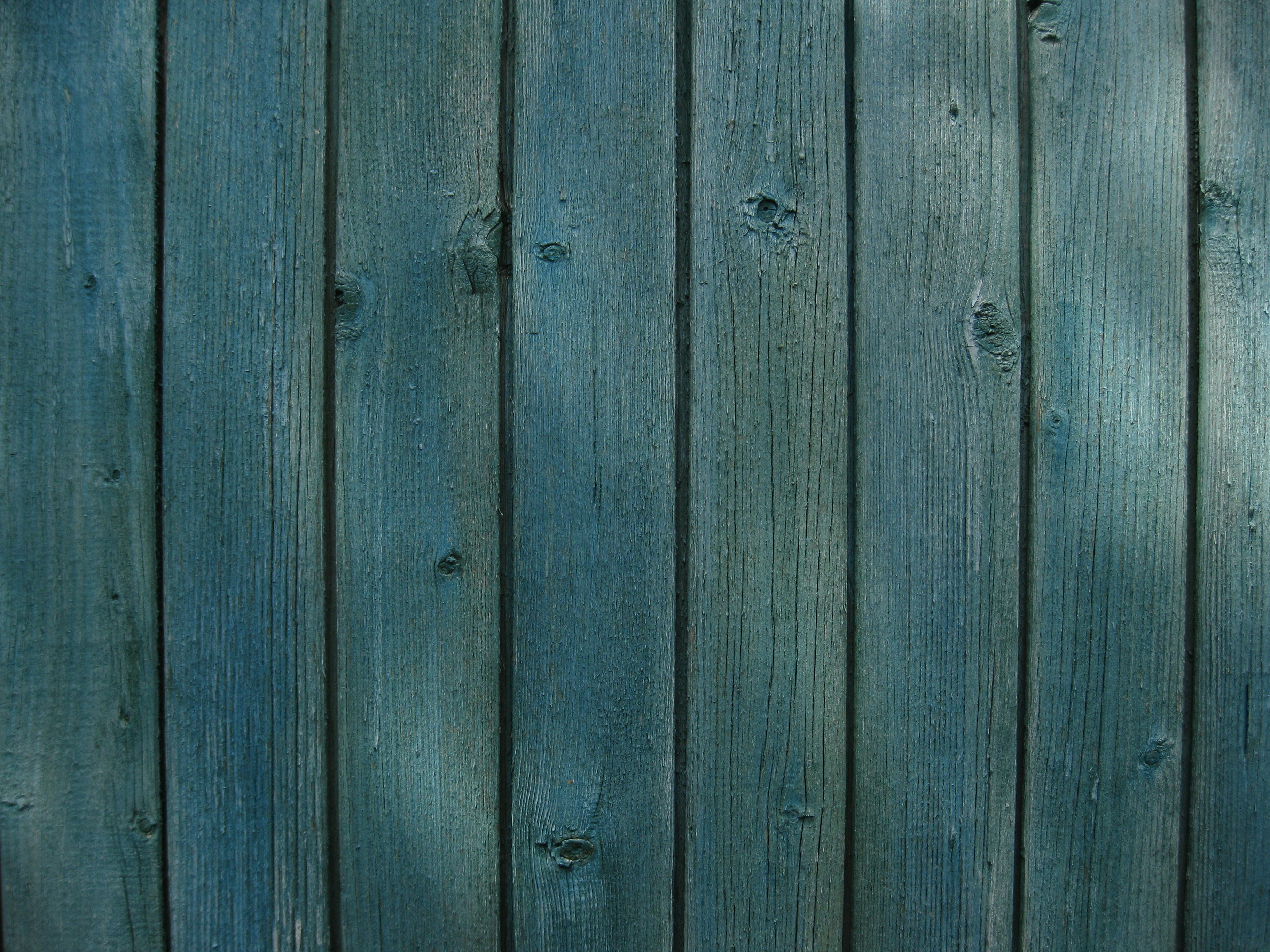 Photo by mariia_pravedna